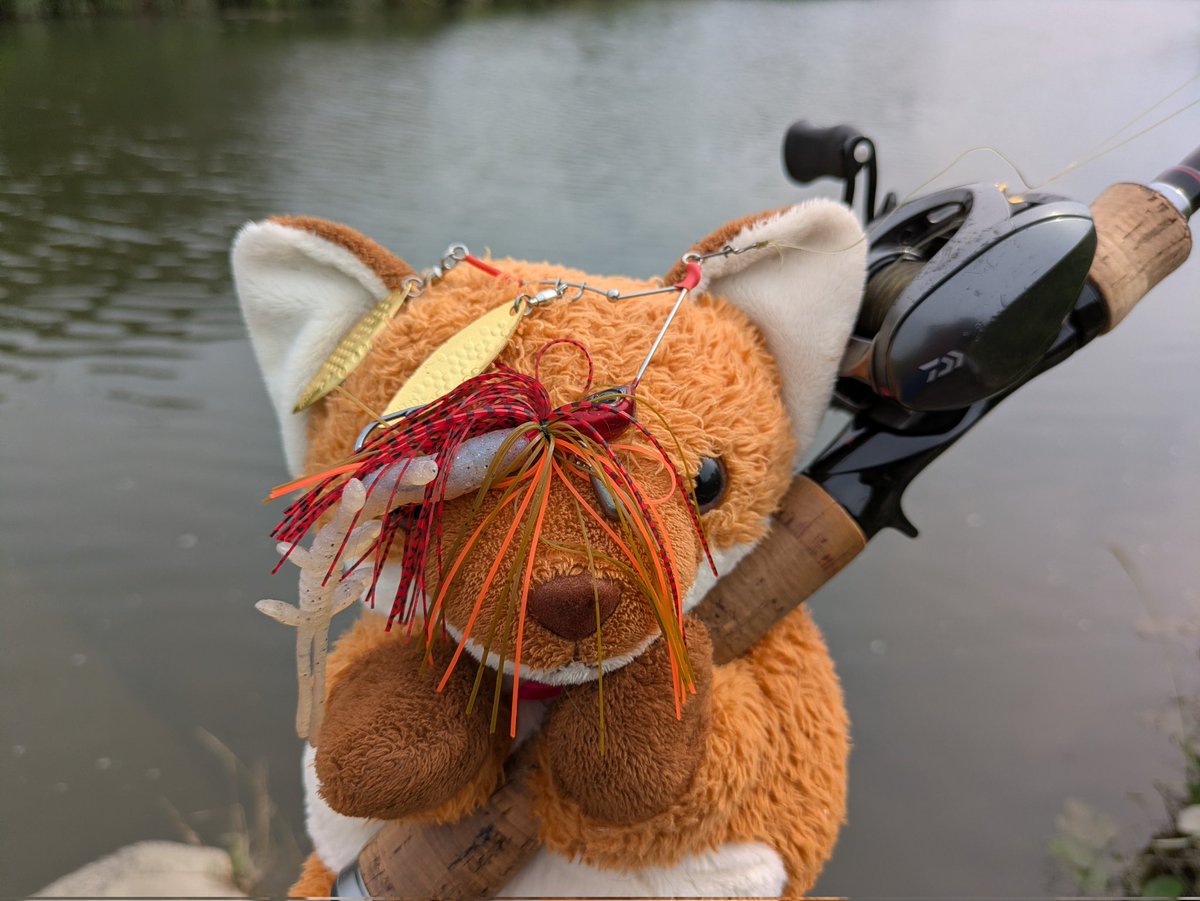 maya_yuko's tweet photo. #釣り吉お稲荷ちゃん🎣🦊
楽しみにしてた《バズベイト》が届いた✨🎣🦊
早速試し投げ🎣🦊
凄い飛ぶ
リール三回転で水面に浮上
なるほど飛行機の《フラップ》か‼️
コレはまた斬新🛫🎣🦊
佐賀か柳川のクリークで使ってみたい✨🎣🦊
#バス釣り 
#シベットバズ
#ランカ
#KAESU https://t.co/GczFmKseZD