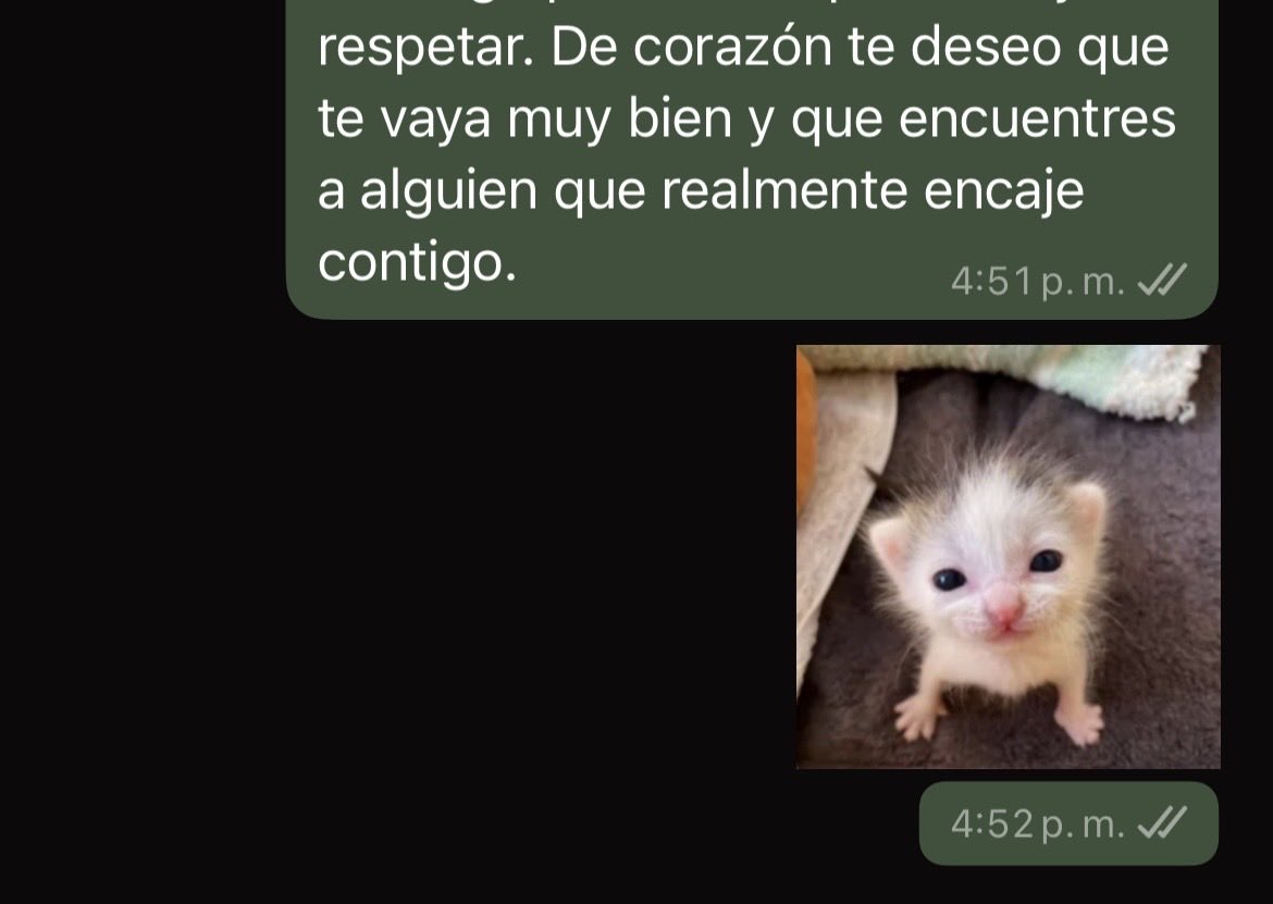 monkyastral's tweet photo. ya no estoy para huevadas my friend https://t.co/cFlgfOhKo3