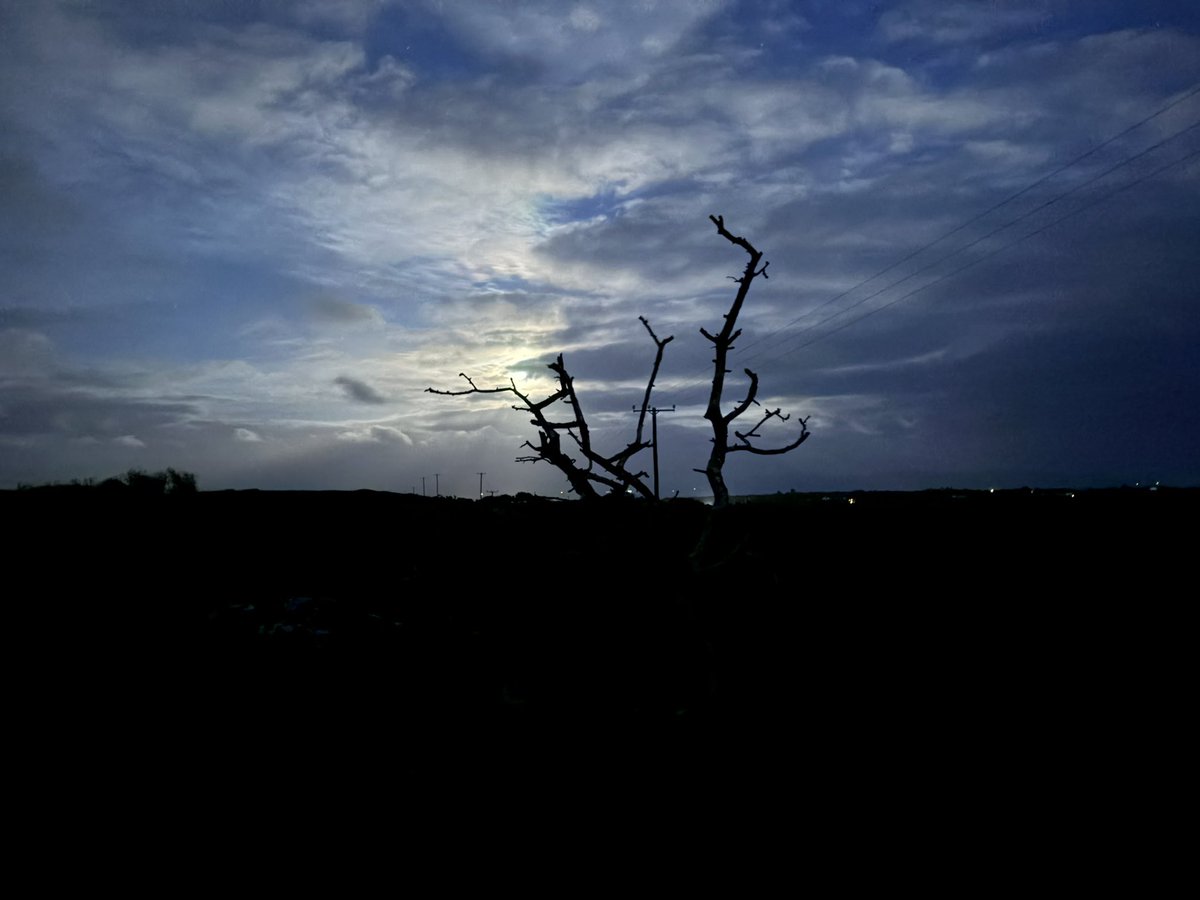 GalwayWalks tweet picture