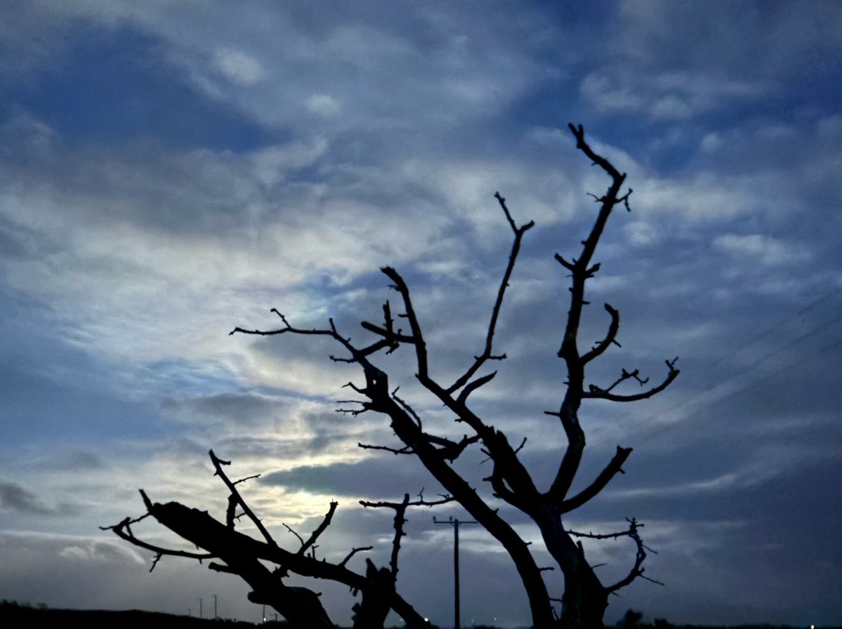 GalwayWalks tweet picture