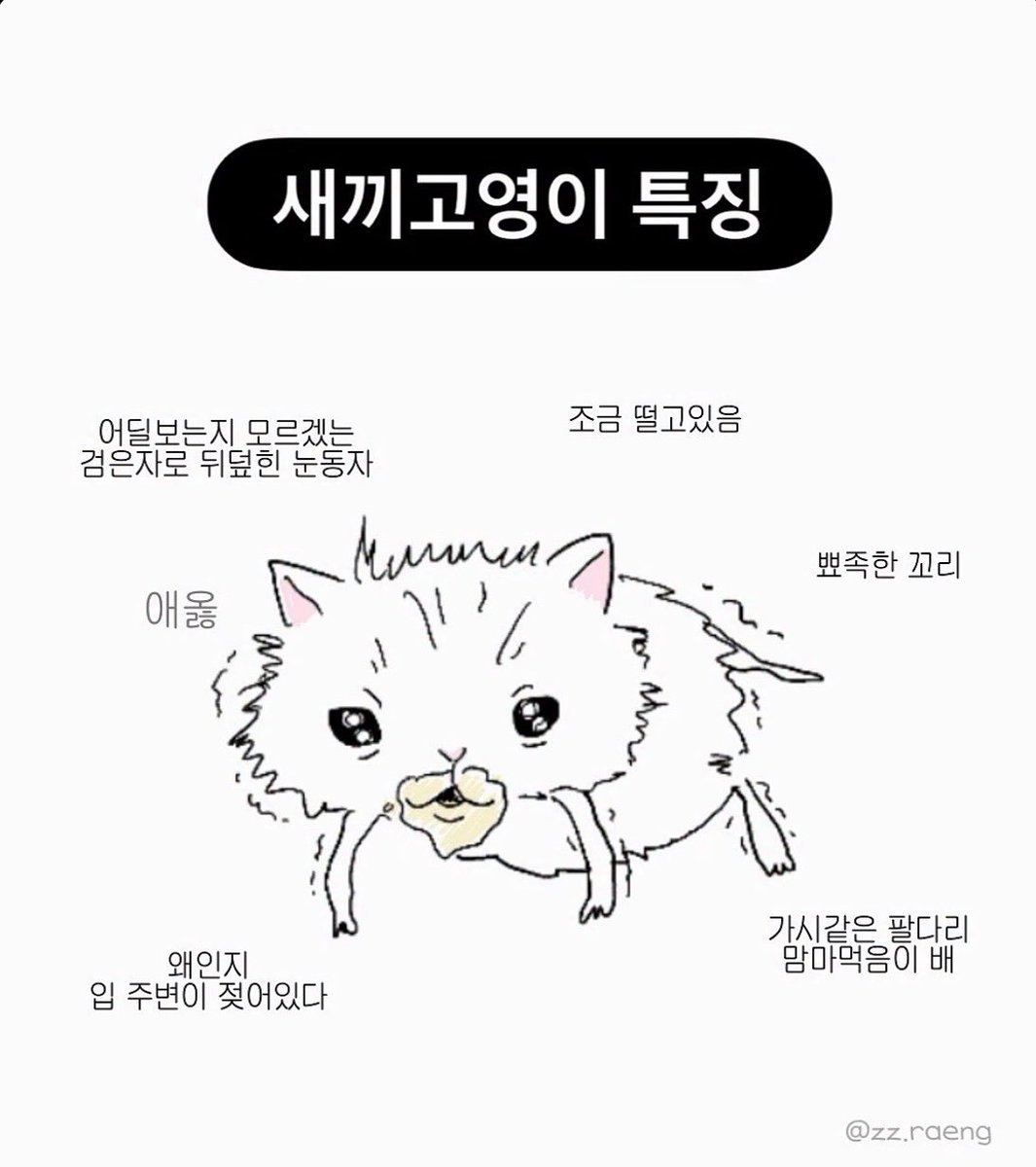 30s1n_'s tweet photo. 보통 맘마먹음이새끼고양이가 이렇게 떨고있음 https://t.co/3z7CKZGHw6