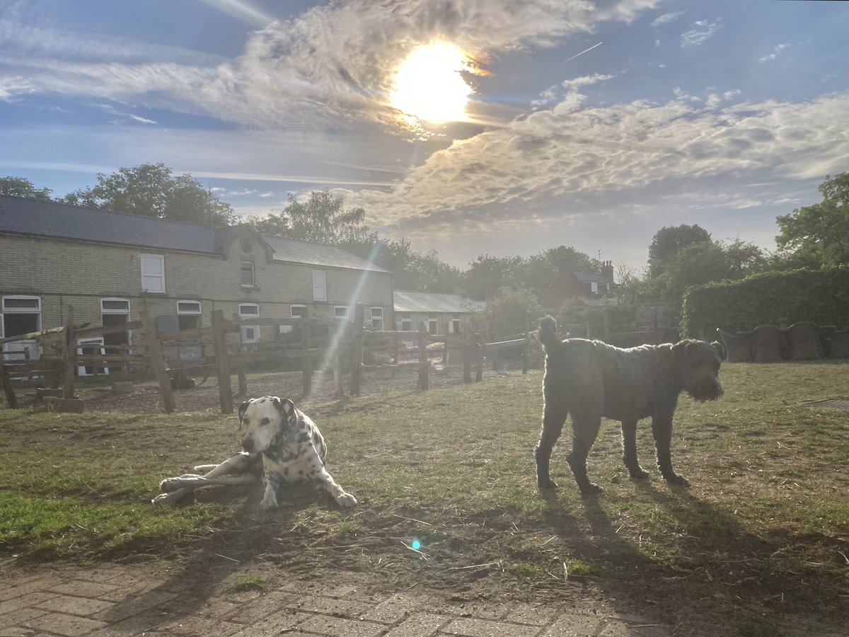 JohnWathenBerry's tweet photo. The same again in Newmarket: perfect summer weather, as opposed to the extreme heat of last week. Currently 18 degrees, forecast high 24. Hazy sunshine. Idyllic #Gus #Blakeney #TarbatNess #Panto #Dereham #CloudyRose #Panto #Gus #Morston #Blakeney https://t.co/bF5wLxpD7d
