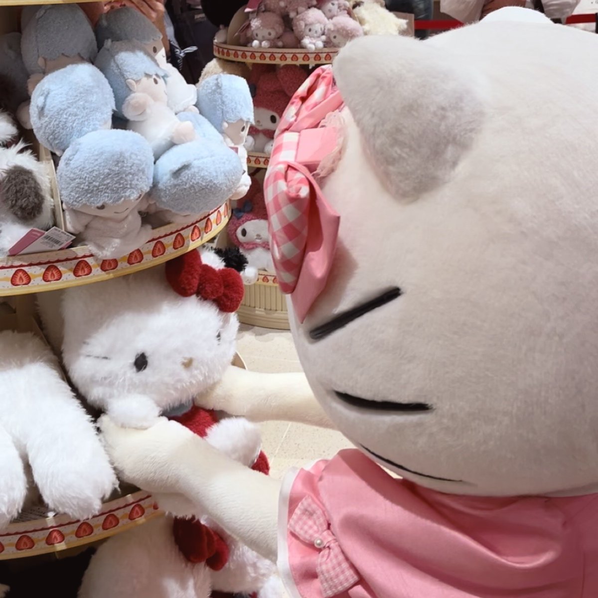 Ma_Liand's tweet photo. キティちゃん、自分のぬいぐるみ抱きしめてもいい？ってスタッフさんに聞いて、いいよって渡してもらった後、ぴょんぴょん喜んで抱きしめてらっしゃいました。その後はご自身でお戻しなさってました。とてもいい子で麗しい、我が国の宝でございます。 https://t.co/ieHPq3kHCr