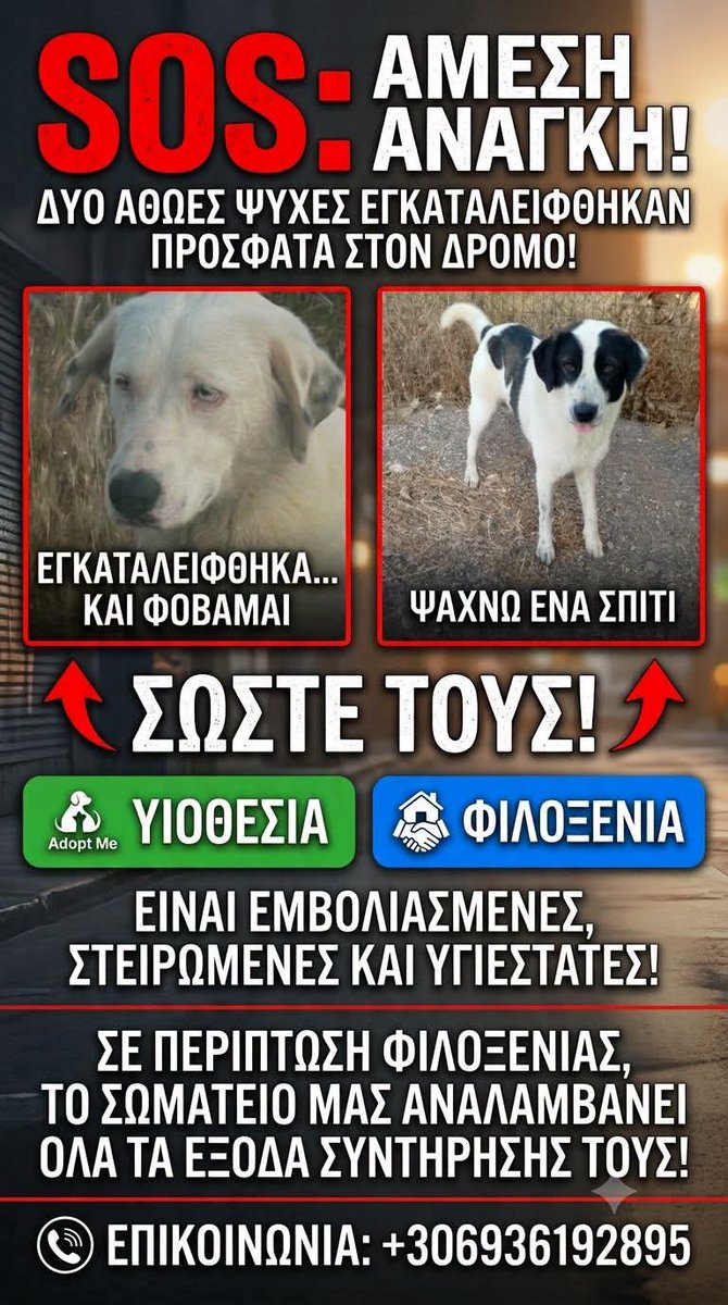 KatKatPt's tweet photo. 🆘️🆘️🆘️
Δυο αθώες ψυχές εγκαταλειφθηκαν πρόσφατα στν δρόμο 
Εμβολιασμενες στειρωμενες κ υγιεστατες 
Ζητείται άμεσα φιλοξενία ή ακόμα καλύτερα υιοθεσία 
Για περισσότερες πληροφορίες επικοινωνία με το τηλ 
Rt 🙏 🙏 🙏 https://t.co/OyHv5EI6kT