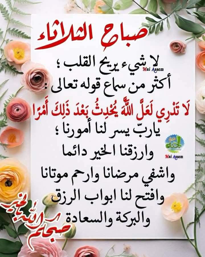 ElammMetwally's tweet photo. https://t.co/zb85pqfvjn