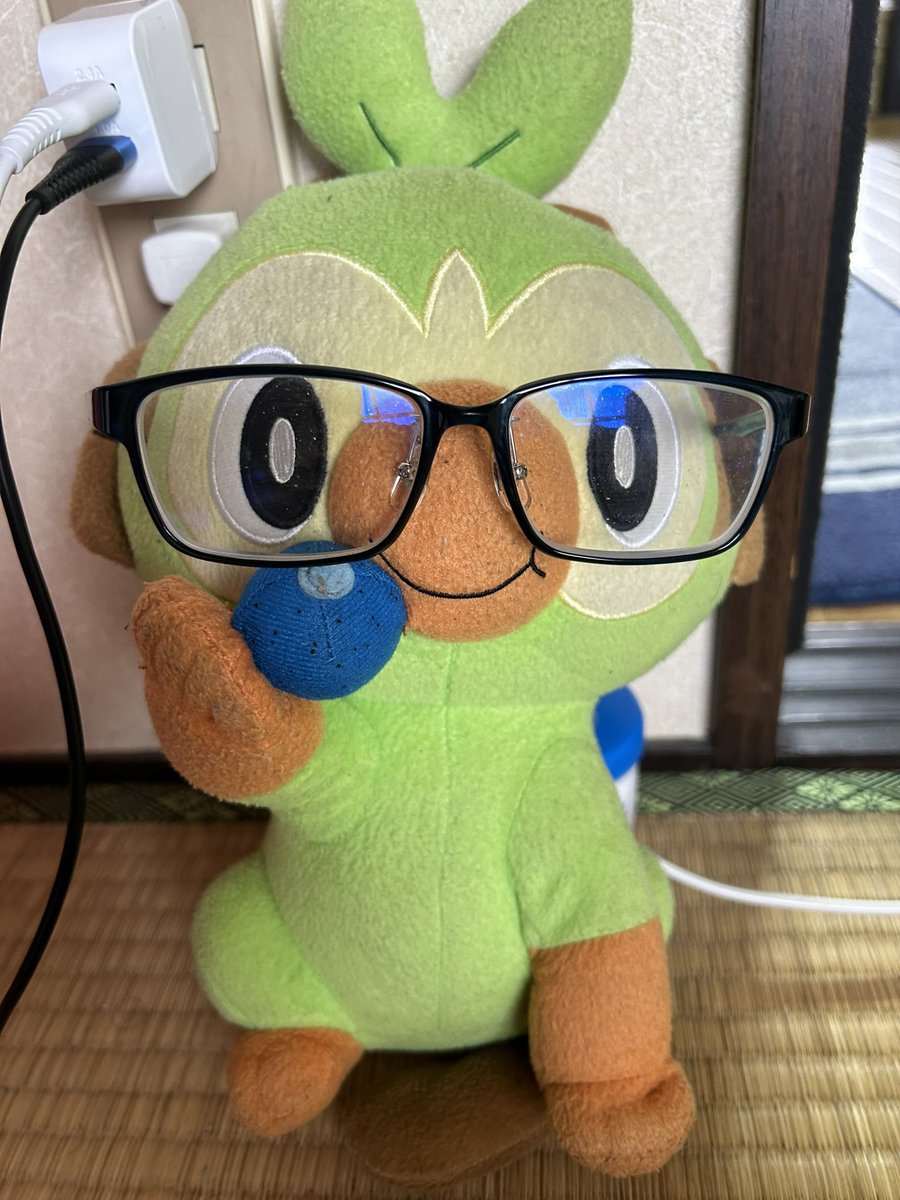 Yamaguchiand's tweet photo. メガネザル https://t.co/vByR9FJw9u