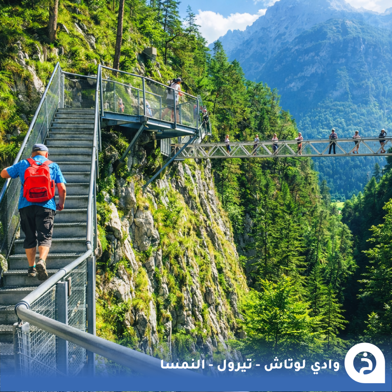 TouristMapsApp's tweet photo. وادي لوتاش #النمسا🇦🇹

أحد أجمل أودية الطبيعة الريفية في #تيرول ويقع على حدود #بافاريا الألمانية بالقرب من #سيفيلد وعلى بُعد نحو 40كم من #قارمش. يمتد الوادي قرابة 16كم ويضم عدة قرى وتجمعات ريفية وسط طبيعة ألبية بكر وغابات كثيفة وأجواء باردة بارتفاع يقارب 1136م، ويشتهر بخوانق Leutascher Geisterklamm الجميلة إضافة إلى مطعم صيد وشواء الأسماك الطازجة في الوادي 🌲🏔️🏞️🐟🍴📸😍↓
LEUTASCH الوادي
📍 https://t.co/8Tx4cM2Mw1
Leutascher Geisterklamm الخوانق
📍 https://t.co/nwAyqqfe5U
Fisheries Leutasch مطعم الأسماك
📍 https://t.co/KjmKuGp6CQ

• تغطية لزيارة الوادي:
🎞️https://t.co/eJJUpbQakL

• مُضاف في خريطة النمسا السياحية.