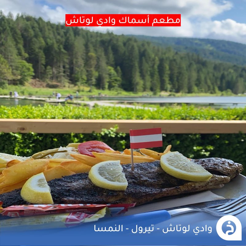 TouristMapsApp's tweet photo. وادي لوتاش #النمسا🇦🇹

أحد أجمل أودية الطبيعة الريفية في #تيرول ويقع على حدود #بافاريا الألمانية بالقرب من #سيفيلد وعلى بُعد نحو 40كم من #قارمش. يمتد الوادي قرابة 16كم ويضم عدة قرى وتجمعات ريفية وسط طبيعة ألبية بكر وغابات كثيفة وأجواء باردة بارتفاع يقارب 1136م، ويشتهر بخوانق Leutascher Geisterklamm الجميلة إضافة إلى مطعم صيد وشواء الأسماك الطازجة في الوادي 🌲🏔️🏞️🐟🍴📸😍↓
LEUTASCH الوادي
📍 https://t.co/8Tx4cM2Mw1
Leutascher Geisterklamm الخوانق
📍 https://t.co/nwAyqqfe5U
Fisheries Leutasch مطعم الأسماك
📍 https://t.co/KjmKuGp6CQ

• تغطية لزيارة الوادي:
🎞️https://t.co/eJJUpbQakL

• مُضاف في خريطة النمسا السياحية.