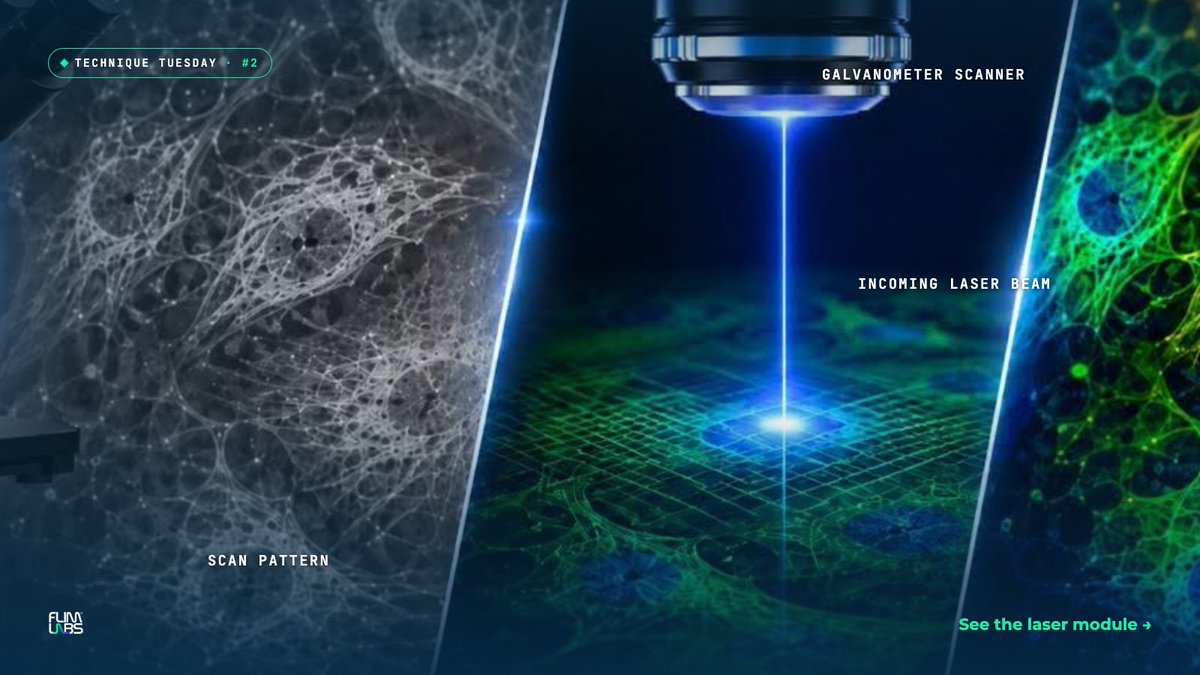 FlimLabs's tweet photo. #TechniqueTuesday 2 — #Galvanometer scanners. 🔬

A mirror on a rotating shaft, a magnet, a coil: send #current, the mirror turns, the beam moves. Use two at right angles and the #laser can reach any point in a plane — a 2D scan pattern. https://t.co/mVYffkRRyZ