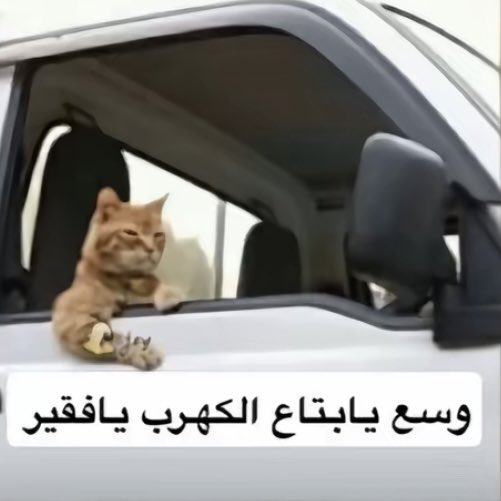 aymaraty's tweet photo. وينهم https://t.co/MwNKJjOroP