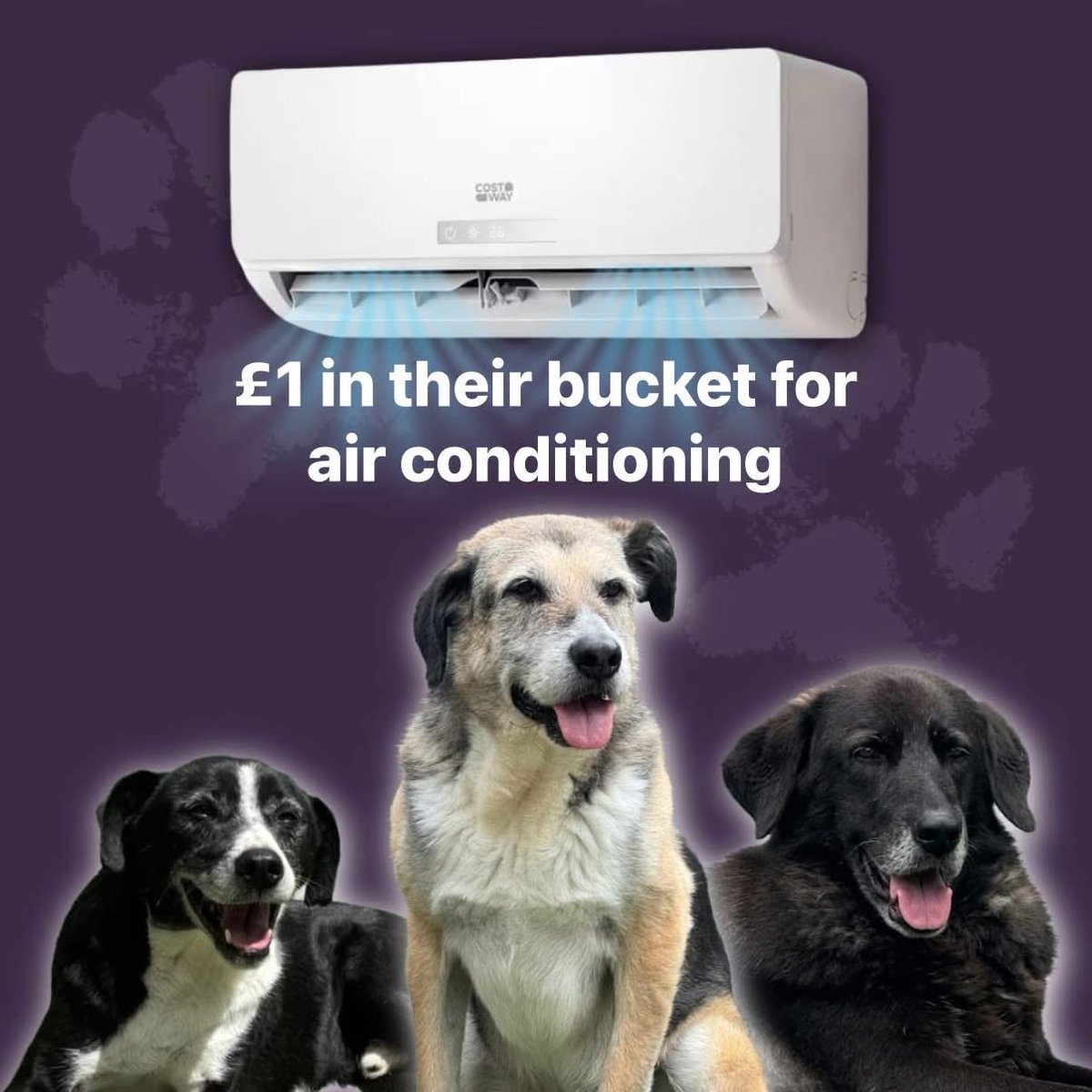 Dogs4Rescue's tweet photo. We’re sorry to have to ask but could anyone spare a few pounds to help us get air conditioning in at least a couple of dog areas and a mobile unit we can move around? ❄️🐶❄️

Another heatwave is predicted and the temperatures get hotter every time 🥵🥵 We wouldn’t ask if it was just a nicety. It’s not fun wearing a fur coat in that heat. 

Thank you x 

Donate on our website: 

https://t.co/QsqDZuyMaa 

Donate to our bank account:

Santander Business account
DOGS 4 RESCUE
Sort code: 090127 
Account Number: 36377736 
Ref: Aircon