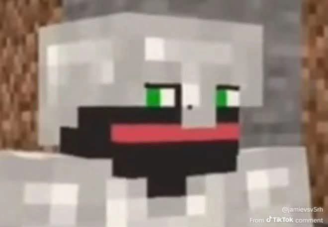 Floaranty's tweet photo. The judgemental side eye no one wanted
#thatmob #verity #minecraft https://t.co/0o2EQTI9NZ