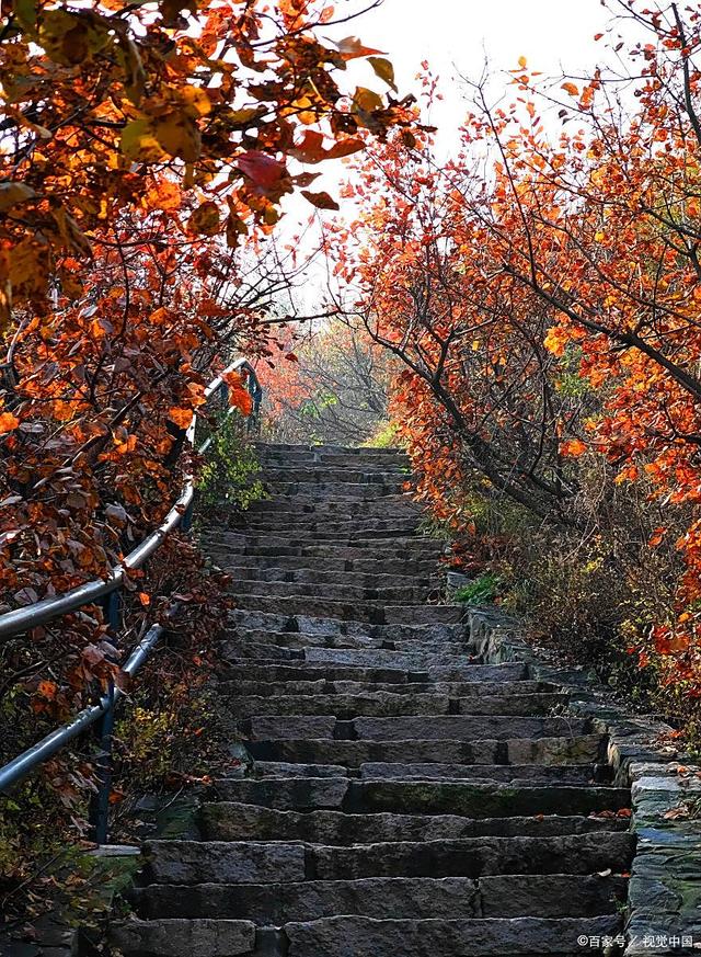 yenni123's tweet photo. University Photography Club Autumn outing this Sat! Capture golden leaves, cozy cafes u0026 fun moments. All skill levels welcome—just bring your phone or camera! Sign up via club link in bio. See you! https://t.co/piyuYU29kY