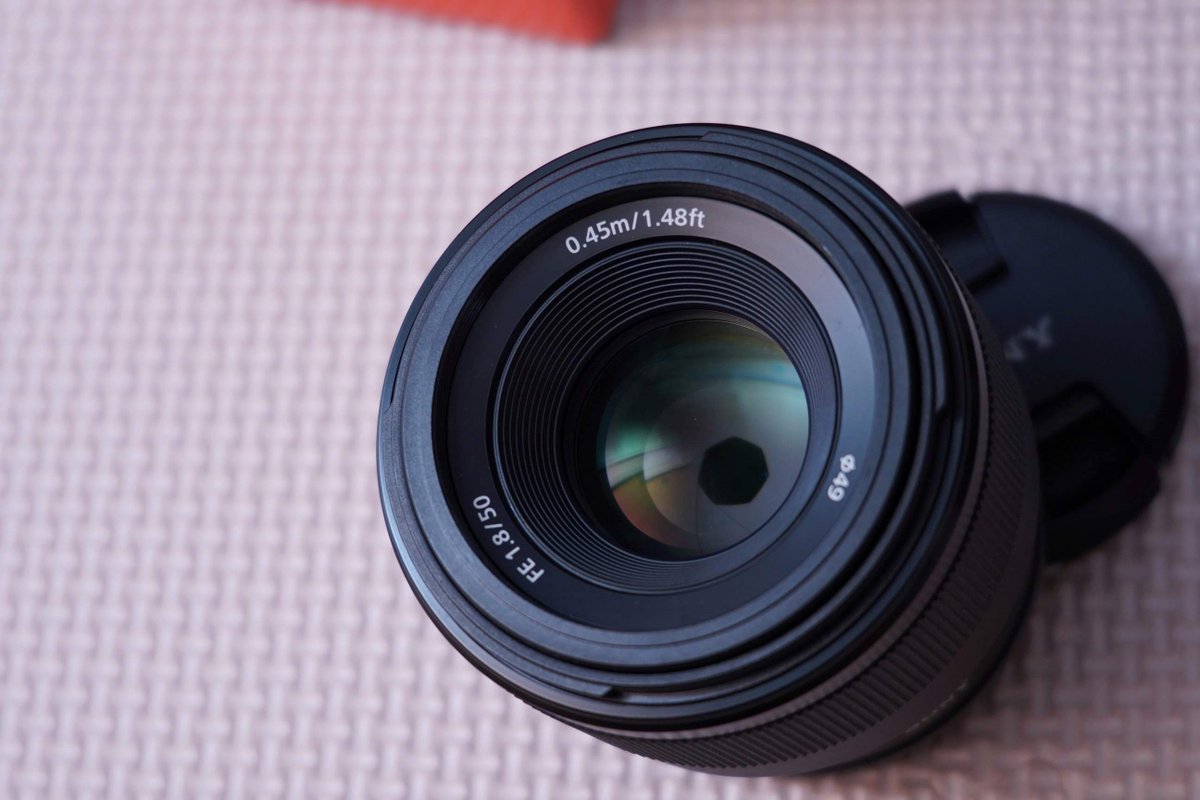 kajagadget's tweet photo. 撒き餌レンズとしても長く愛される
「SONY FE 50mm F1.8」をポートレートで使い込み、
その描写力や導入のメリットを詳しく解説しました。
シンプルだからこそ奥深い、光を捉える楽しさ。
https://t.co/AIk4Fv9lE7

軽量・コンパクトな設計がもたらす高い機動性と、
開放F1.8の明るさが生み出す大きなボケ味。
ばんびさんの表情を素直に、印象的に描き出します。

扱いやすい50mmの画角で、
日々のスナップから本格的なポートレートまで応える
道具としての合理性と実感を詳しくまとめました。
#カジャガジェット #50mm #SONY
#portrait #alpha #カメラのある生活