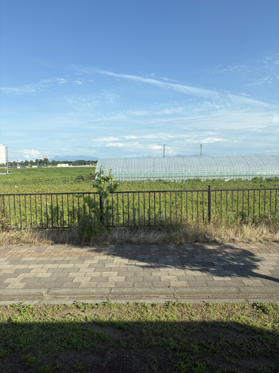 kasu_0714's tweet photo. 広島東洋カープの試合を見に向かっているのですが、ここは一体どこなんだ https://t.co/gImj1Y1hLK