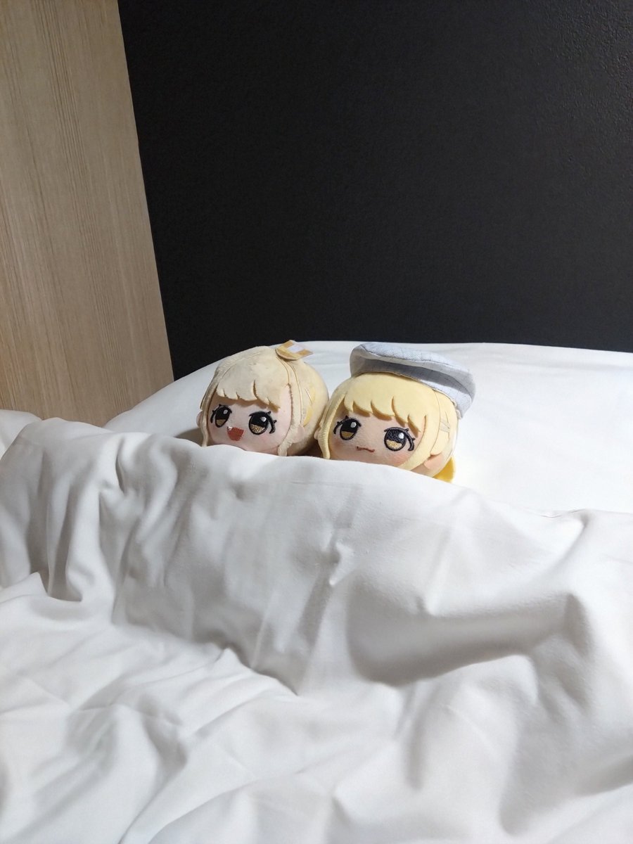 M_DoRaGe_H's tweet photo. #今月のぬいデミー賞 
今月はもふぐっとが届いたり、GSFに行ったり https://t.co/4v1lmtZCUZ