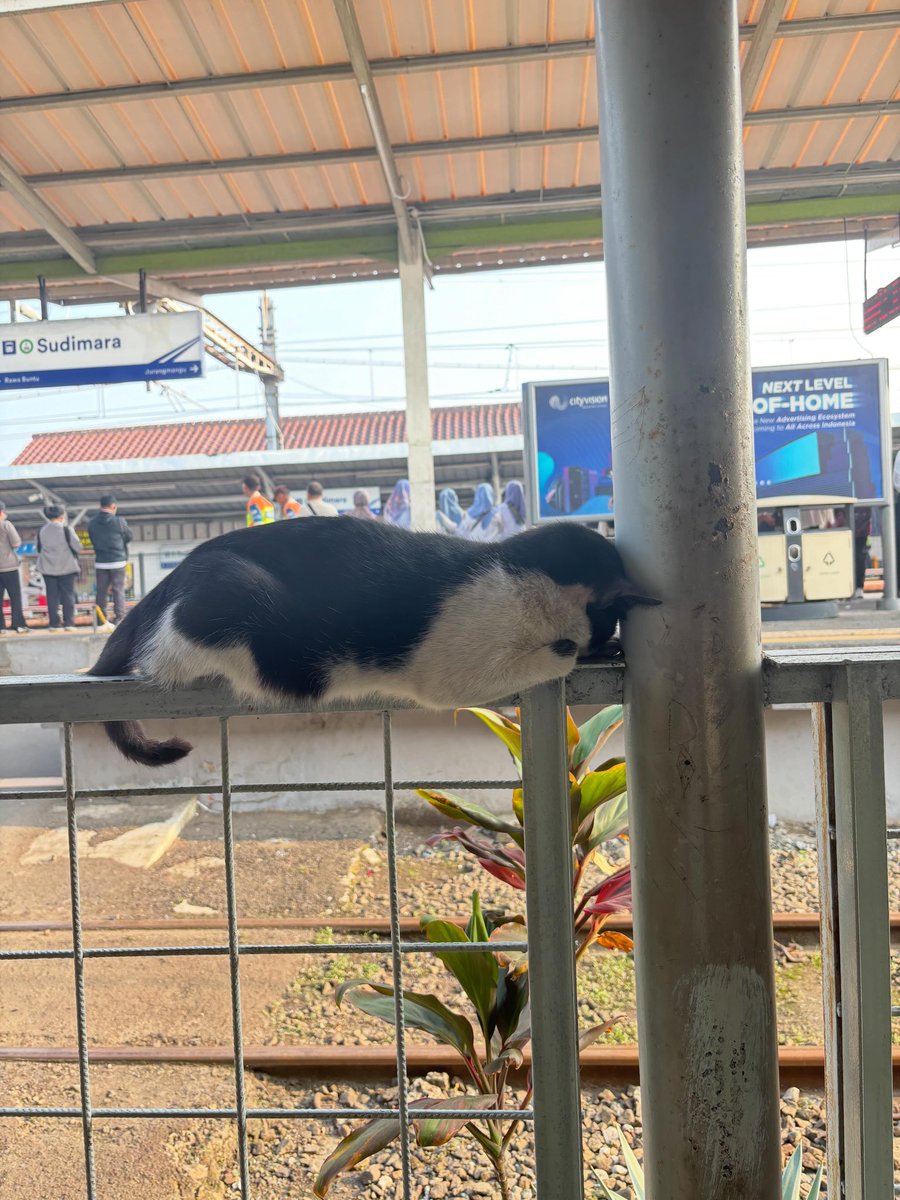 tercyidukk's tweet photo. Halo @KAI121 ini staff nya abis diapain ya sampe depresi gini? jadi sedih liatnya 😭 https://t.co/7qAkd1ZvIs