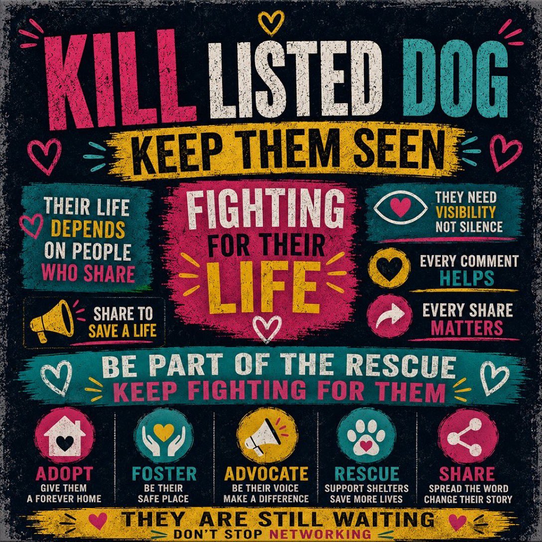Wynjym's tweet photo. @_taysmyoxygen1d 🆘MANY #MAMAS &amp; #PUPPIES TO BE #KILLED AT #ACS

#SanAntonioTX NEED HELP🆘&amp; THE #OIL STATE OF

#MEGA_RICH WHO CAN’T/WON’T HELP BY SPENDING THE

MONEY TO TAKE CARE OF DUMPED/ABUSED/STRAY #DOGS

#CATS👹THE #USA HAS B/C A #HORRIFIC PLACE FOR

#COMPANION_ANIMALS/#PETS‼️ @GregAbbott_TX https://t.co/pbqdtRqwis