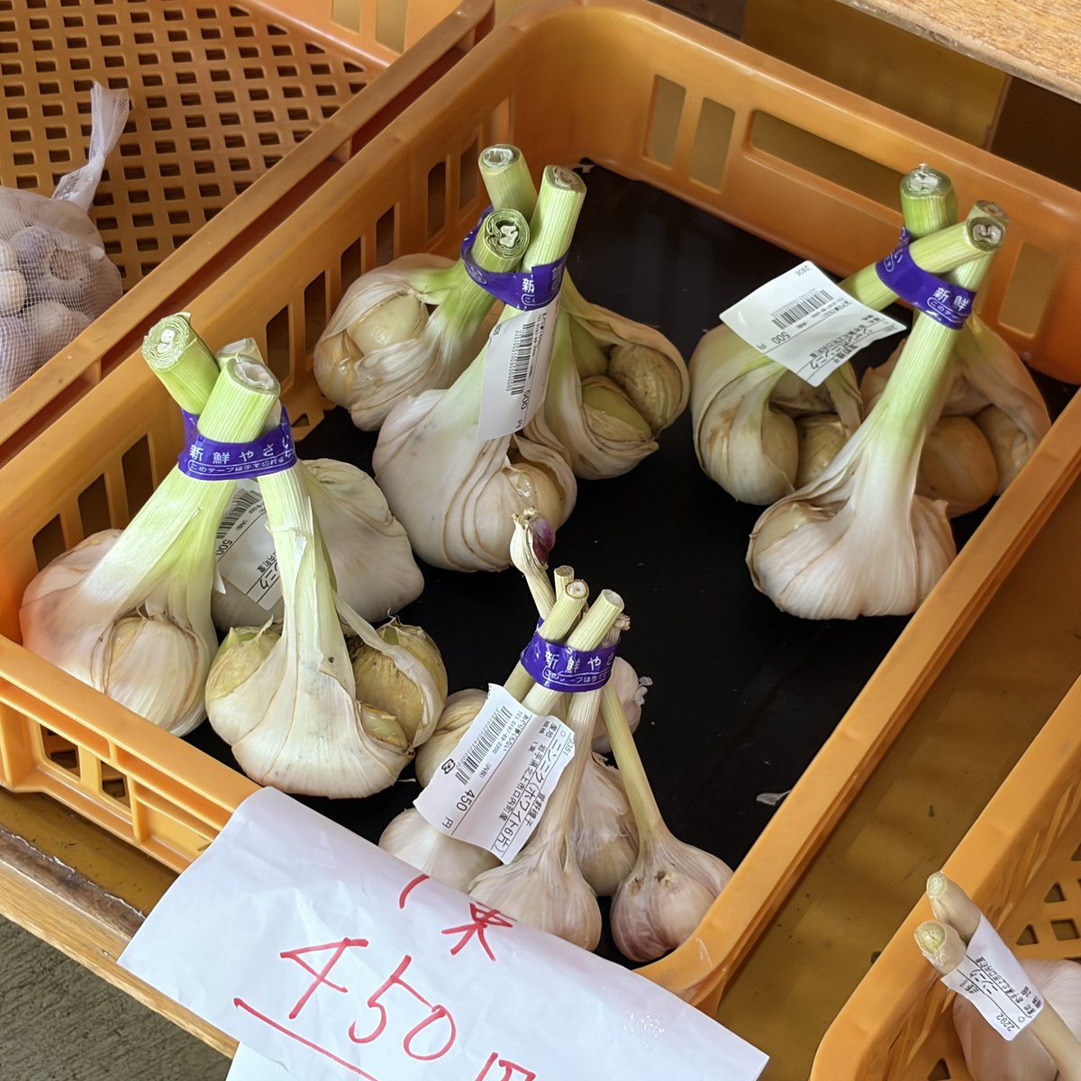 EBeFM888's tweet photo. 【産直通信🥗】
毎週火曜日12時20分頃から放送中🥦

今日は口内地区の『あぐり夢くちない』から
🍴 ブルーベリー
🍴 ジャンボにんにく
🍴 あくぬき済　たけのこ
🍴 朝採りのきゅうり　　などを紹介🔍

今は大ぶりの商品や朝採り商品が多め✨
是非、お出かけください☕️

#いいあんべ #産直 #野菜 #北上 https://t.co/nP1CoYFdmT