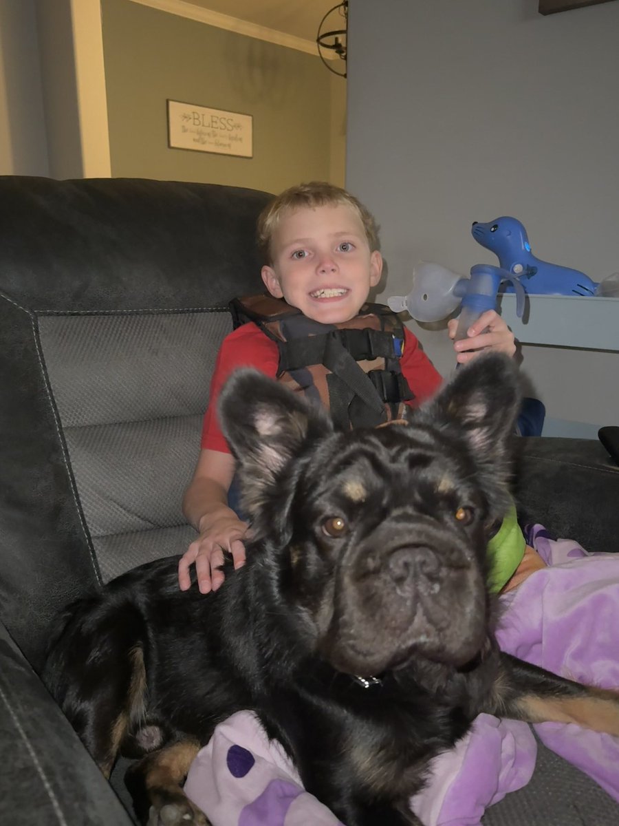 bwombat24's tweet photo. Good vibes! Link is an ESA to help Bradley with his treatments #dynamicdou https://t.co/iAivcZRr8I