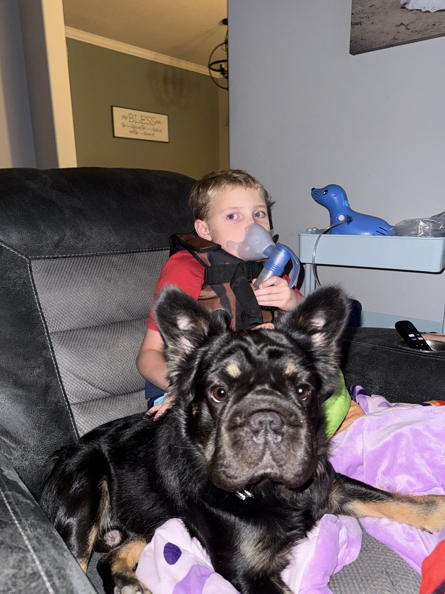 bwombat24's tweet photo. Good vibes! Link is an ESA to help Bradley with his treatments #dynamicdou https://t.co/iAivcZRr8I