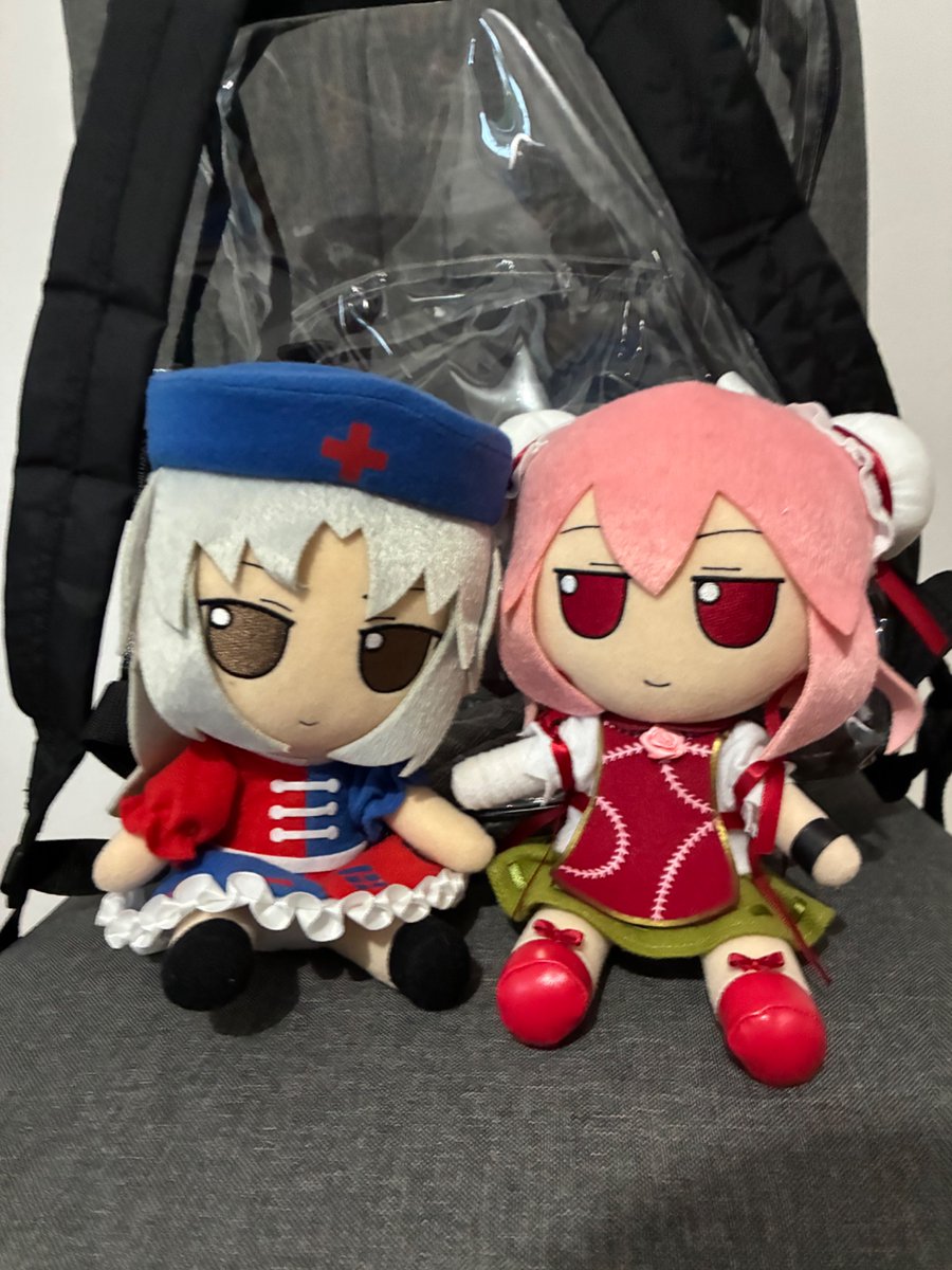 Protty8569752's tweet photo. Eirin and Kasen today. Heatwave is finally over (for now). https://t.co/QNeX5nV242