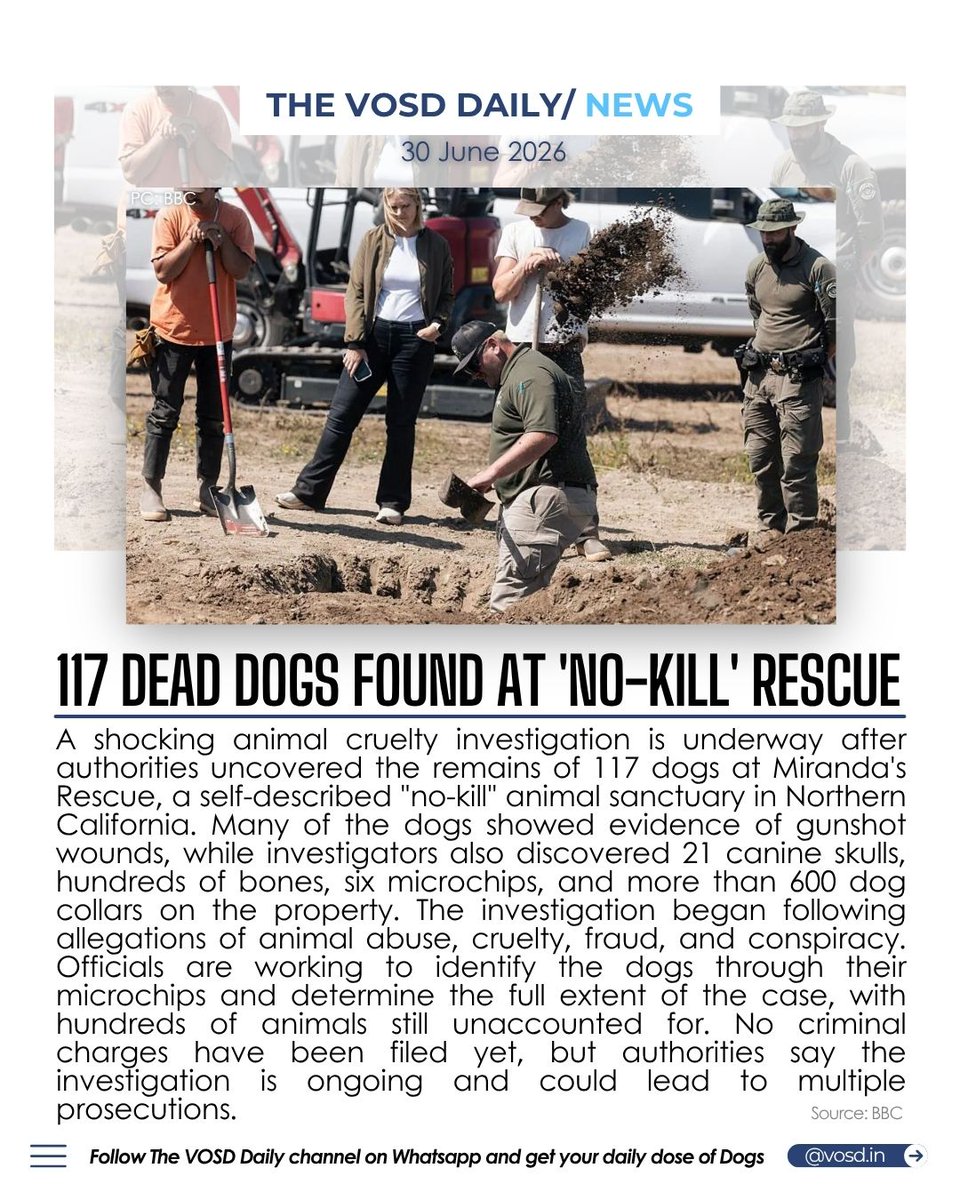 VOSD1's tweet photo. Authorities say the investigation is far from over, with hundreds of dogs still unaccounted for as officials work to uncover what happened at the self-described "no-kill" rescue.

👉🏽 Join the VOSD Daily WhatsApp Channel for more - https://t.co/k3sQaL7JLk

#TheVOSDDaily #VOSD https://t.co/6RioDAM9sY