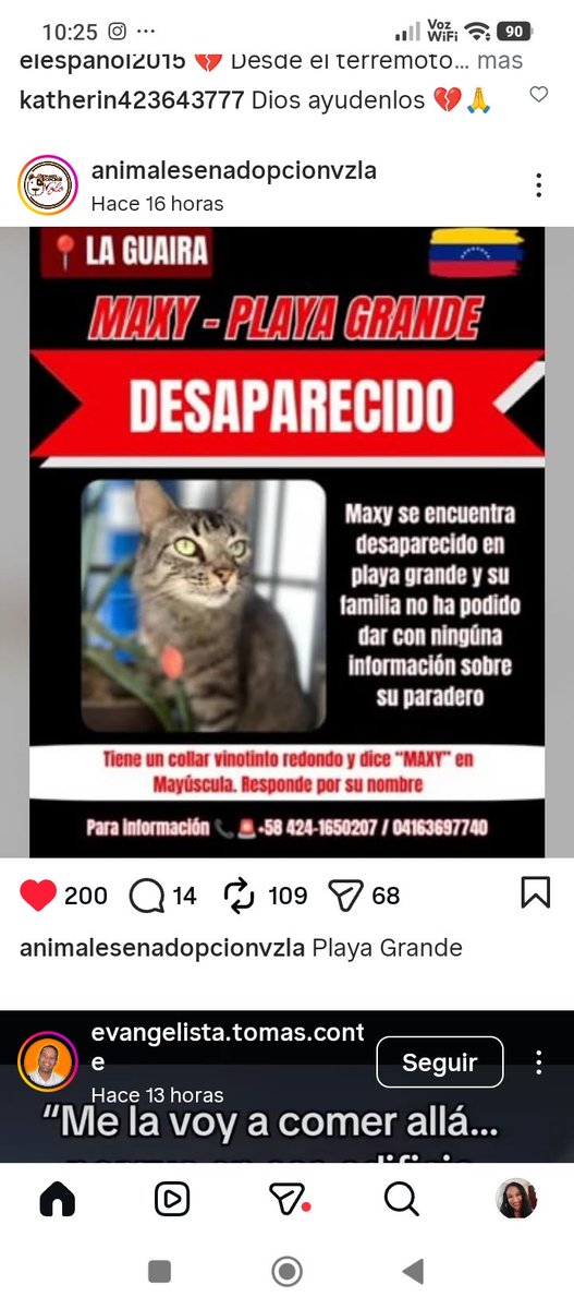 Katherin8782818's tweet photo. Desaparecido #Maxy #Venezuela @animalesenadopcionvzla instagram Rt urgente https://t.co/5nQ573WHiK