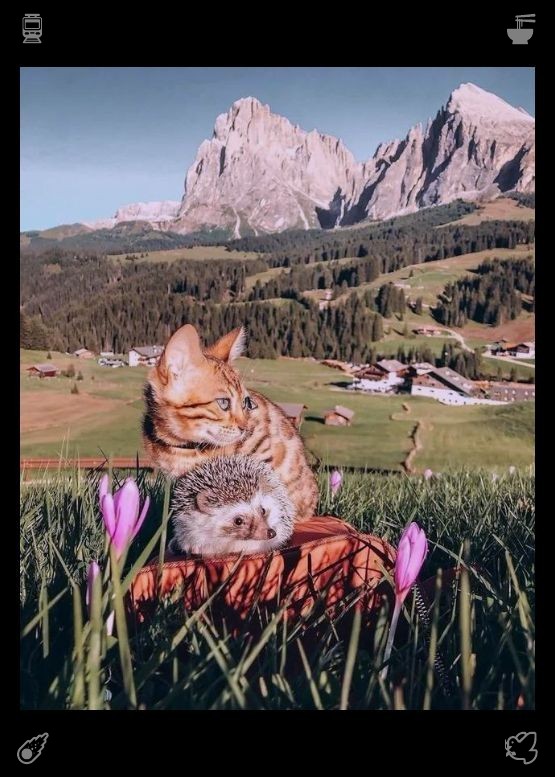 Sugk1i's tweet photo. Elias captured a selfie of Lila reading a letter from her grandmother while seated in a garden full of daisies, with apple pie topped with sugar and almonds nearby. He added the caption: “My wife, my love, my everything. She’s the most beautiful flower in the garden.” https://t.co/odgNU8XClx