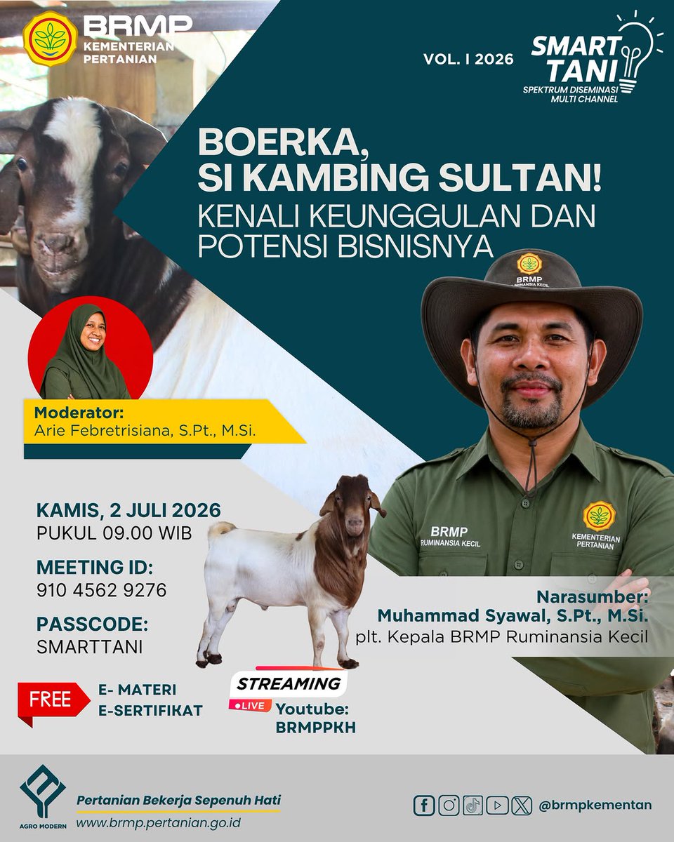 brmpmektan's tweet photo. Ingin mengenal Kambing Boerka lebih dekat? Yuk, ikuti Smart Tani dan dapatkan informasi seputar karakteristik, keunggulan, hingga peluang pengembangannya langsung dari narasumber BRMP Ruminansia Kecil. https://t.co/CTGIv6KzGh