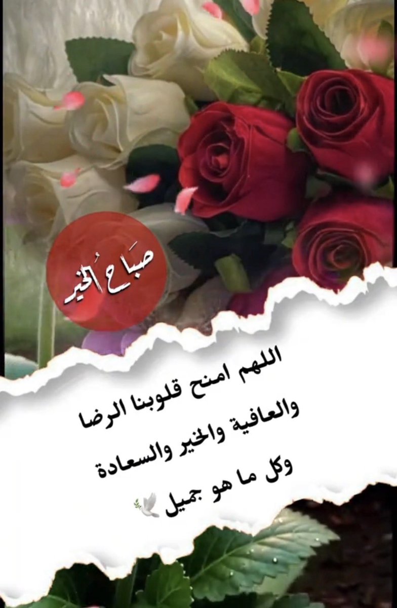 A55166535's tweet photo. صباحٌ تُزهر فيه الأرواح بذكر الله، وتبتسم فيه القلوب بحسن الظن به، ويُكتب لنا ولكم فيه الخير أينما كان.
صباح الخير 🌺🌺🌺❤️❤️❤️✨ https://t.co/GZkv8MKku9