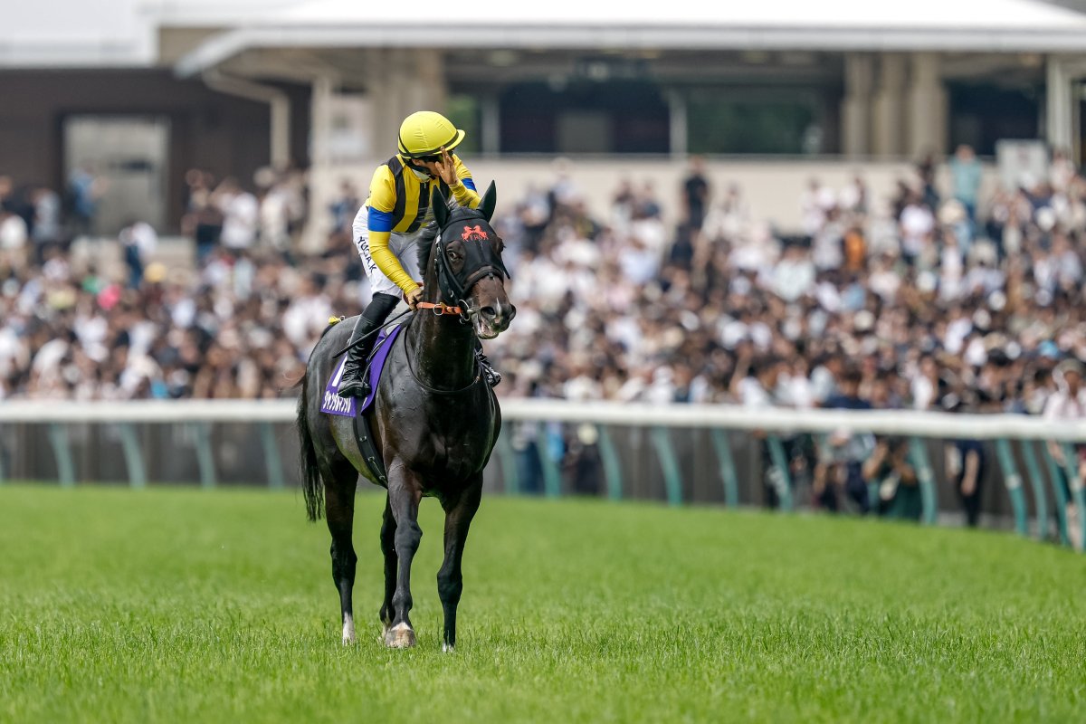 netkeiba's tweet photo. 【ジャンタルマンタル引退②】
引き続き現役時代のお写真を。

2歳王者が3歳マイル王者となり、4歳時には史上9頭目の同一年マイルG1制覇達成(牡馬マイルG1完全制覇)

(撮影：下野雄規)、(c)netkeiba

▼引退の報道記事
https://t.co/BagP4MYulK https://t.co/oN1LVNA8g9