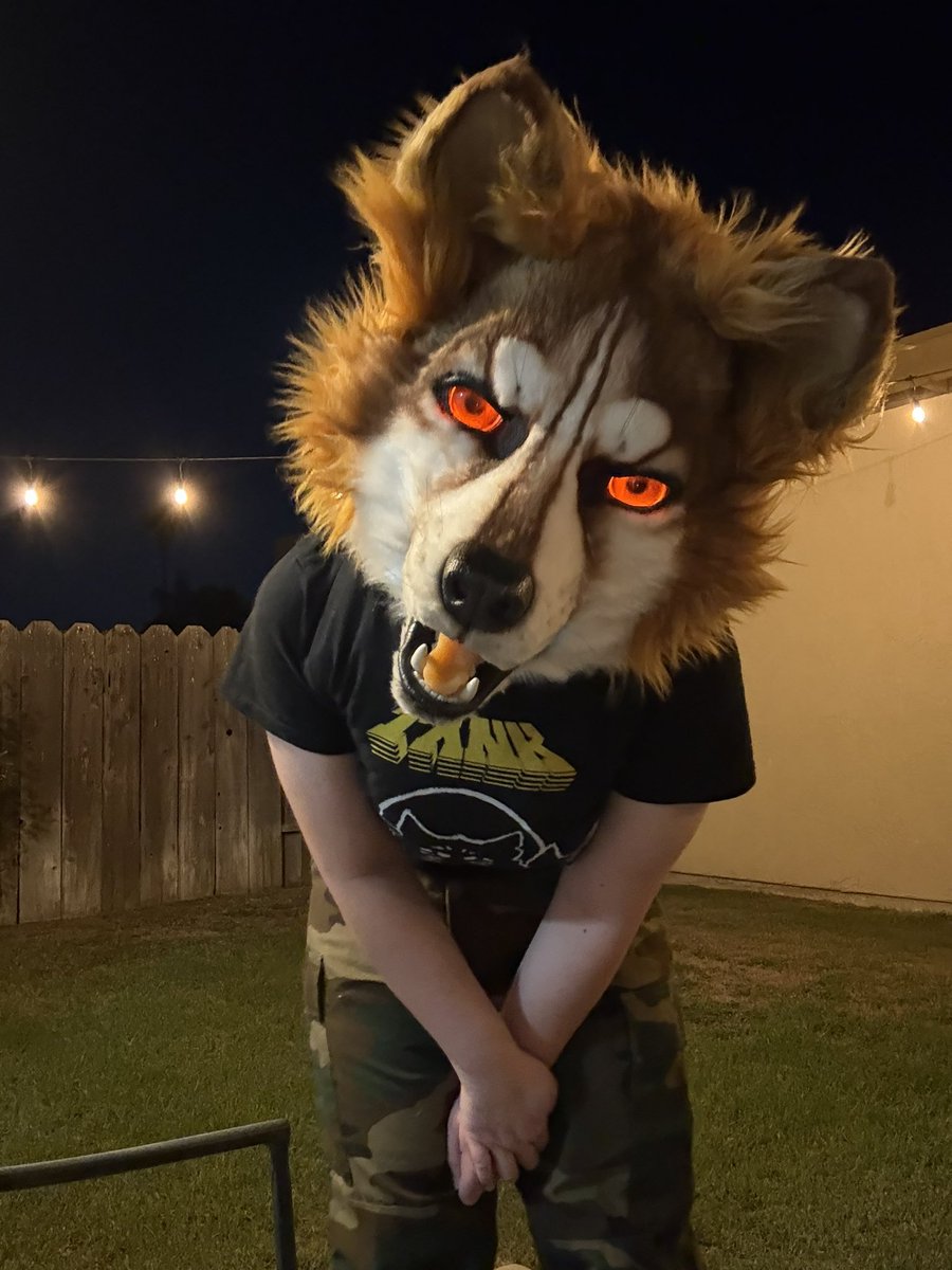 Vic_Rattleheadd's tweet photo. Lots of pictures from this night, lol

#furry #fursuit #fursuiting https://t.co/KN2ml71Ojv