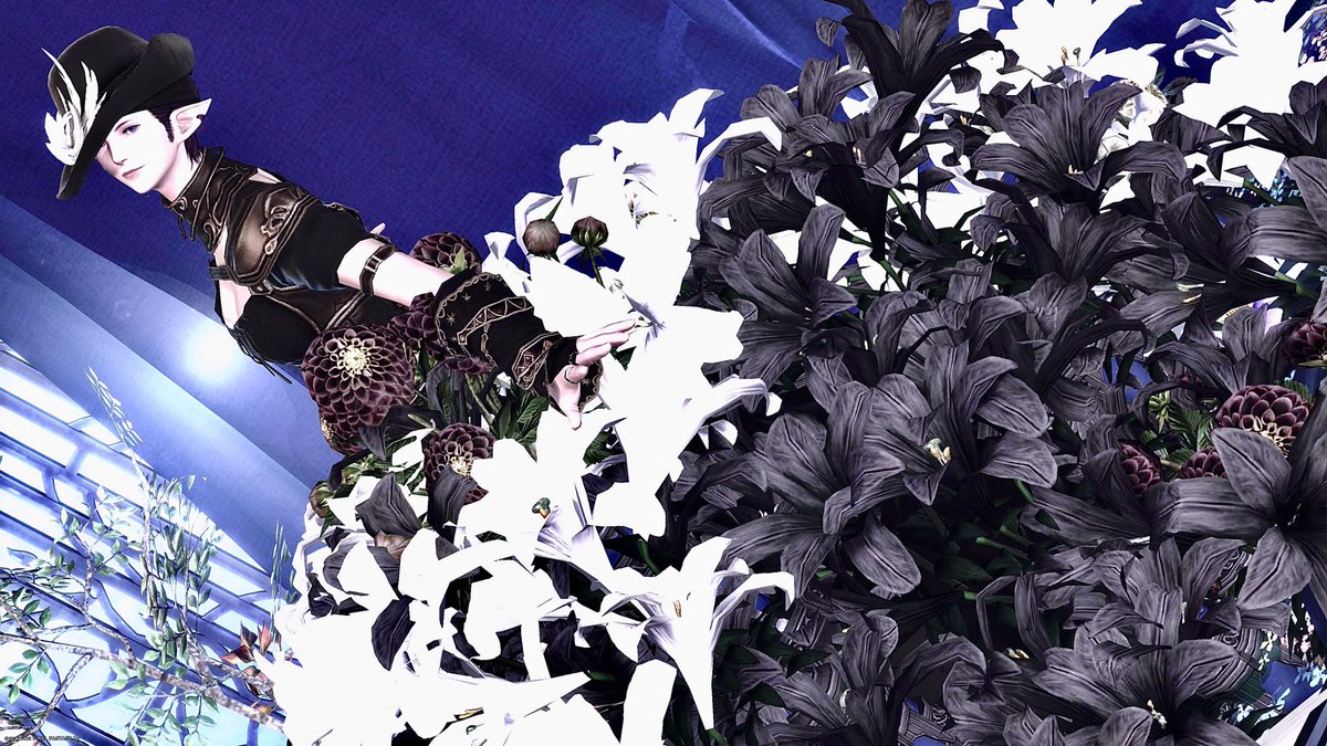 Deed_Mond's tweet photo. やっとご訪問できましたぁ〜♪
埋もれてるみたいになってない？？
#Studio_nagi
#FF14SS #エレメス #お昼休みのエレメス https://t.co/543UvURZwq