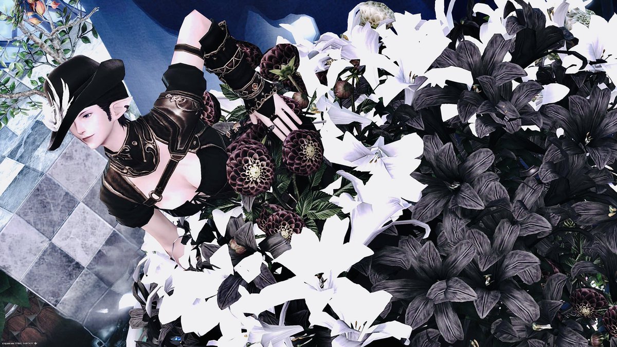Deed_Mond's tweet photo. やっとご訪問できましたぁ〜♪
埋もれてるみたいになってない？？
#Studio_nagi
#FF14SS #エレメス #お昼休みのエレメス https://t.co/543UvURZwq