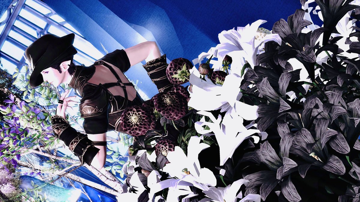 Deed_Mond's tweet photo. やっとご訪問できましたぁ〜♪
埋もれてるみたいになってない？？
#Studio_nagi
#FF14SS #エレメス #お昼休みのエレメス https://t.co/543UvURZwq