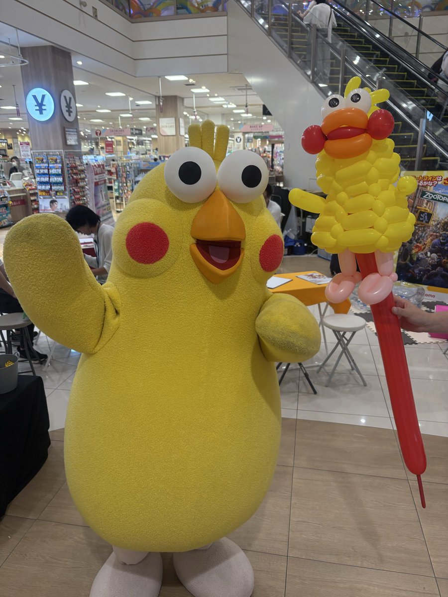 ポインコと山歩き🐥🐥🐾 (@paopaopanda_jp) / Posts / X