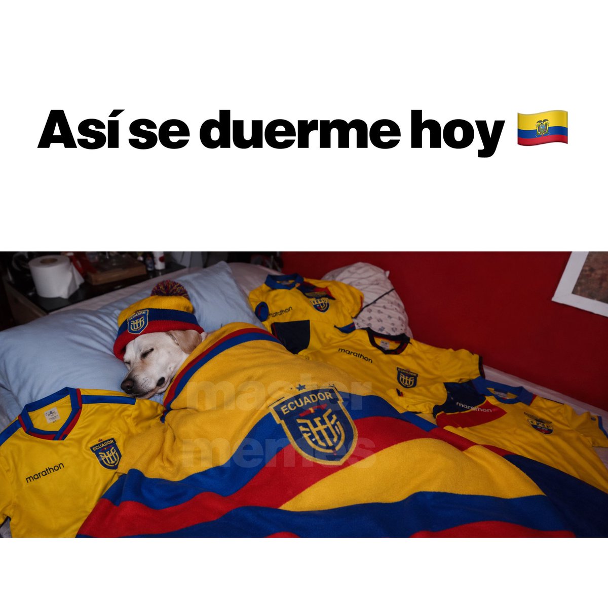 El de los Memes EC tweet media