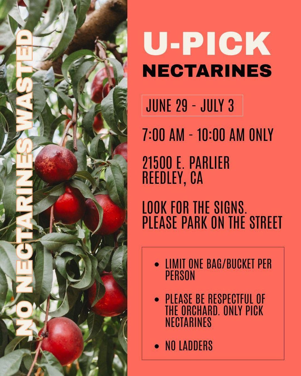 CMSGF52777's tweet photo. @WallStreetApes Come pick free nectarines at 21500 E. Parlier, Reedley CA. June 29 through July 3, 7AM to 10AM only. Look for the signs when you arrive and please park on the street. One bag or bucket per person. See you out there!
– No Nectarines Wasted - Cesar Mora https://t.co/EuBjVZtLNh
