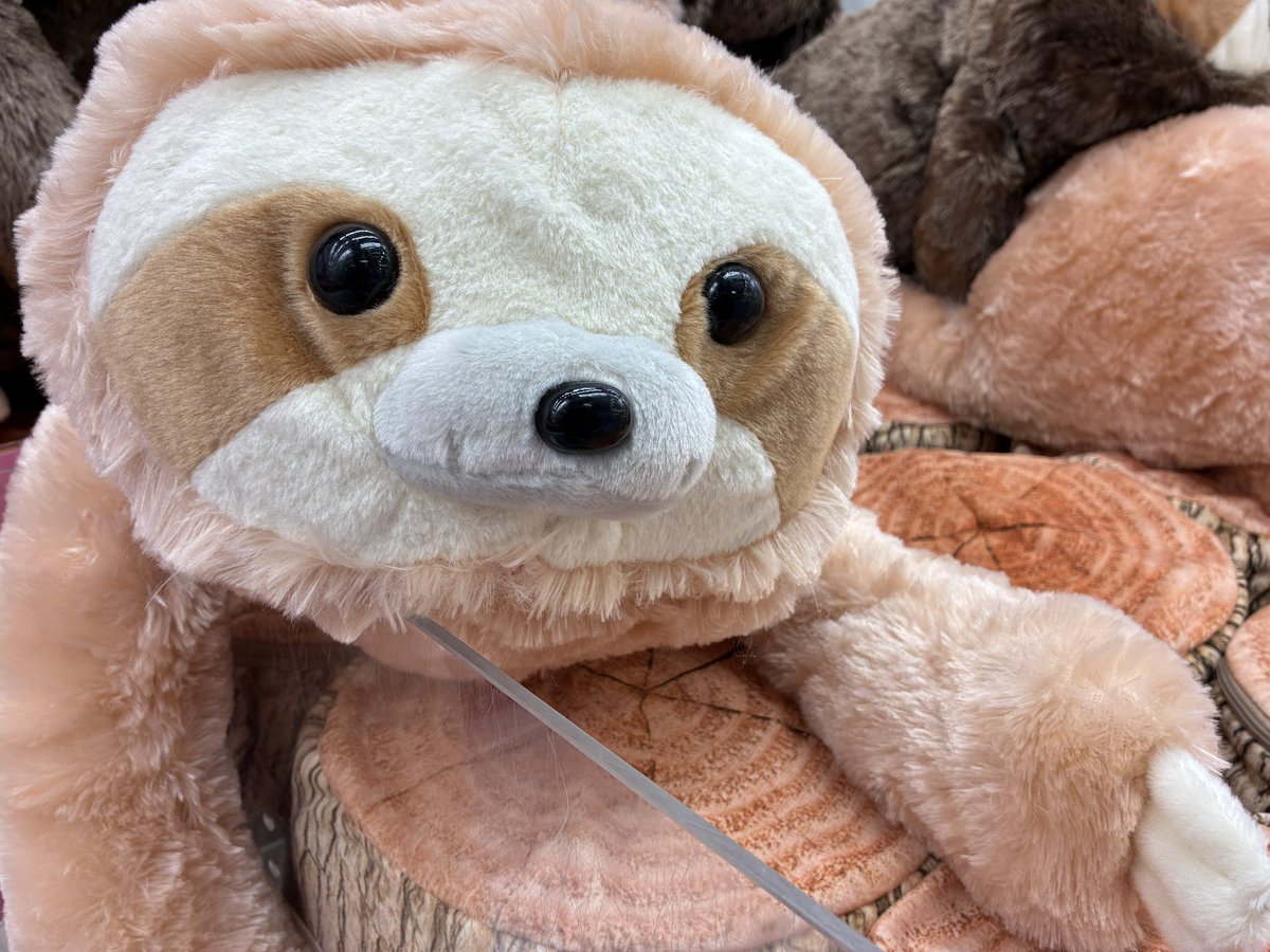 本日の新景品 くったりナマケモノ超超ウルトラBIGが入荷しております