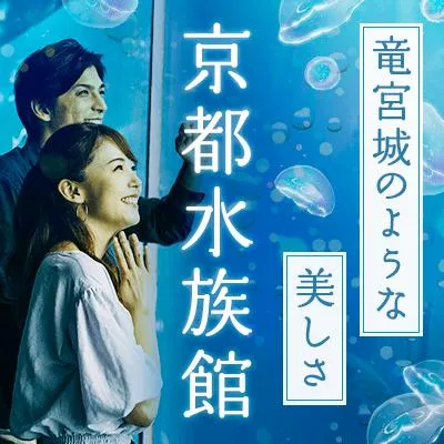 omicale_com's tweet photo. 【京都 / 下京区】

最大20名！
夜の京都水族館で出会いのイベントが開催！

7月25日 (土) 17:00〜 
https://t.co/GbRPUENnDp
※早期に募集終了になることがあります https://t.co/qQIwtAZSPV