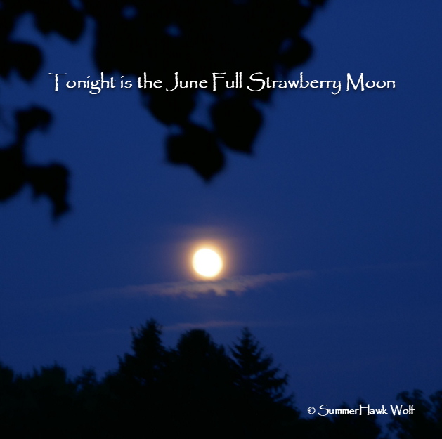 SummerHawkWolf's tweet photo. The Full Moon🌕of June has several names:
🌕 Full Strawberry Moon 
🌕 Rose Moon
The Algonquian Tribes called this Moon the Full Strawberry Moon🌕
for the short season harvesting ripe strawberries.

Known as the Rose Moon🌕 in Europe.
#FullMoon
#FullStrawberryMoon
#FullRoseMoon https://t.co/75P5EOQC9m