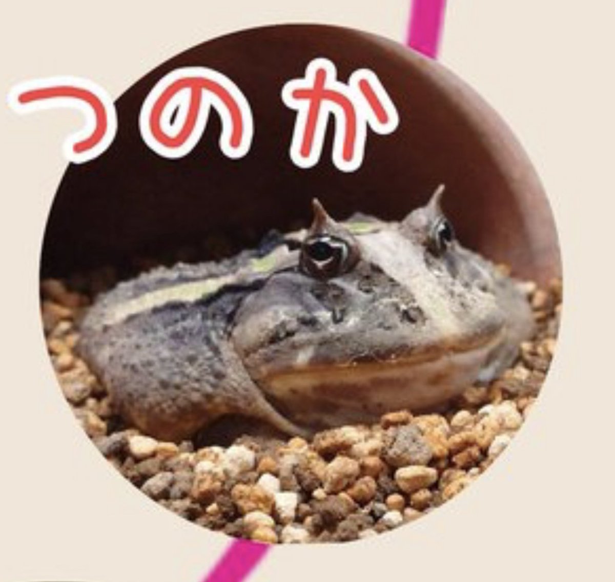 ︎ ︎ ︎ tweet media