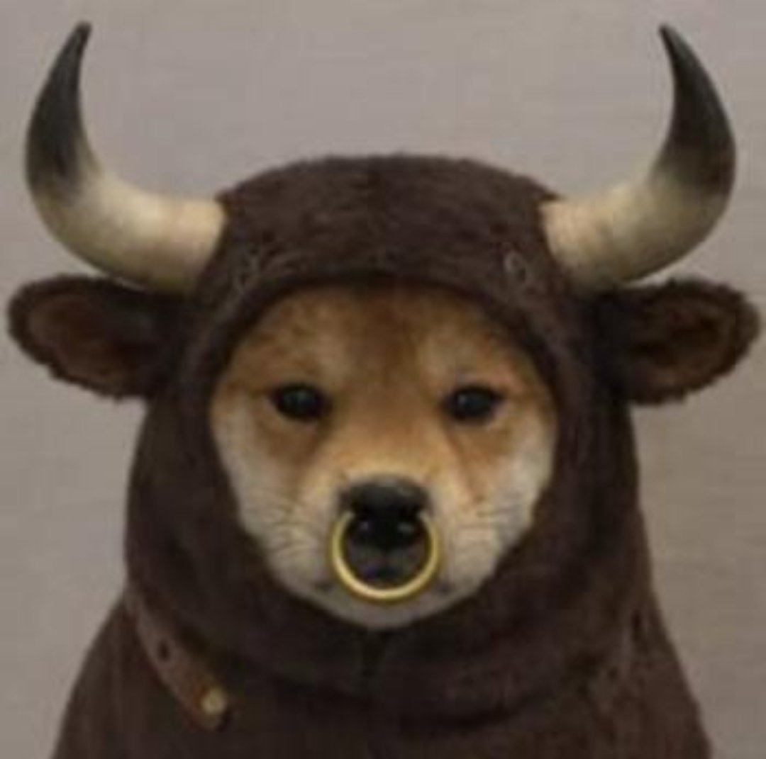 ayogszn's tweet photo. @Supermanonchain How about my $BULL sir 👀
Bsx74q4nw37DHmoiEjZUP26bkWozHyUvogFvpsWPpump https://t.co/q3mQKHr5uY