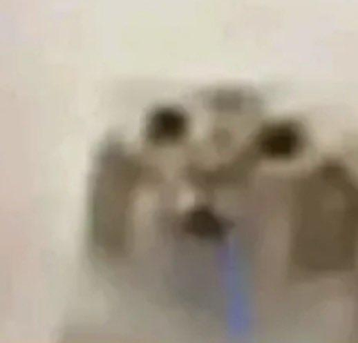 mud_otter's tweet photo. @LudwigAhgren @supertf @slime_machine @emilyywng @EskayOW @NathanStanz erm guys dont you think him calling street fighter shit fighter is kinda disrespectful, right after featuring at the "Christmas" of fighting games :T

IDK about you guys but that makes me REALLY mad. https://t.co/oWZOnlLMZB