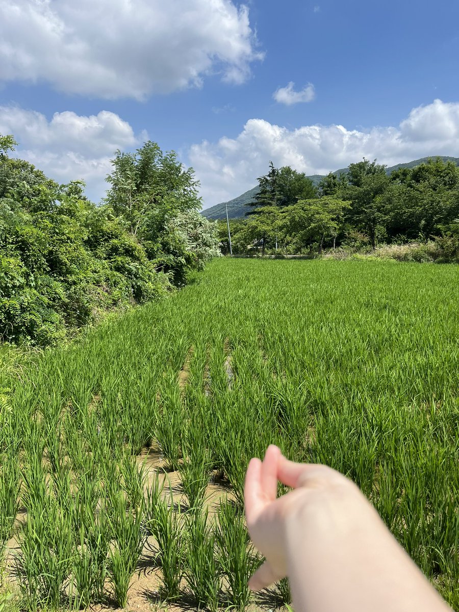 ur_roogie's tweet photo. 경주야호~ https://t.co/EBKSmHmUm1