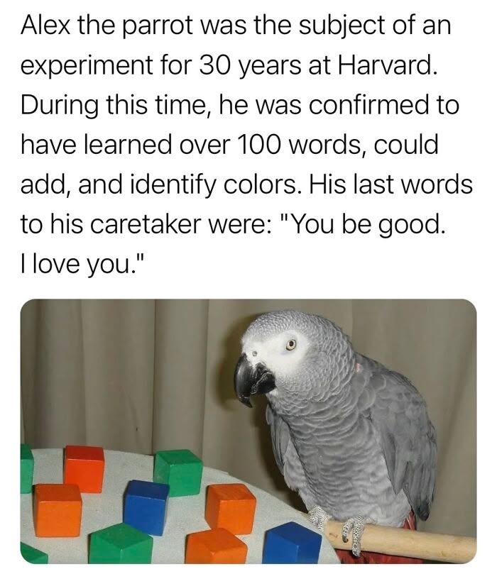 ThatEricAlper's tweet photo. https://t.co/0793LTocS3