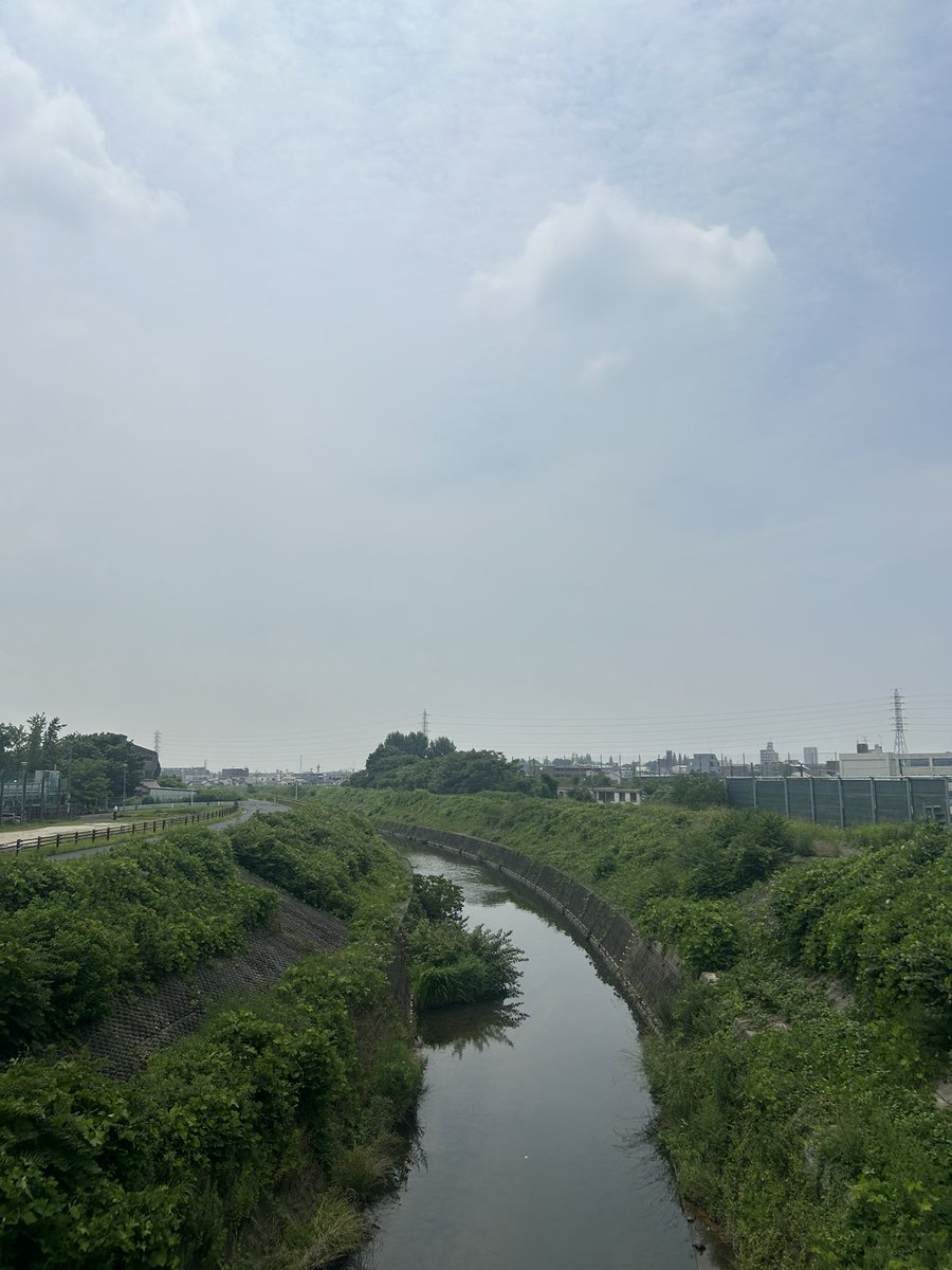 DepkRr's tweet photo. 今年も半分終わってまうがねぇの火曜日⛅️🚲

W杯⚽️大興奮寝不足🥱

慌てず焦らすぼちぼちよ

頑張ろう✊の心です

#イマソラ
#イマクモ
#イマカワ
#ちっちゃな橋
#頑張ろう✊ https://t.co/UESuHvGyy6