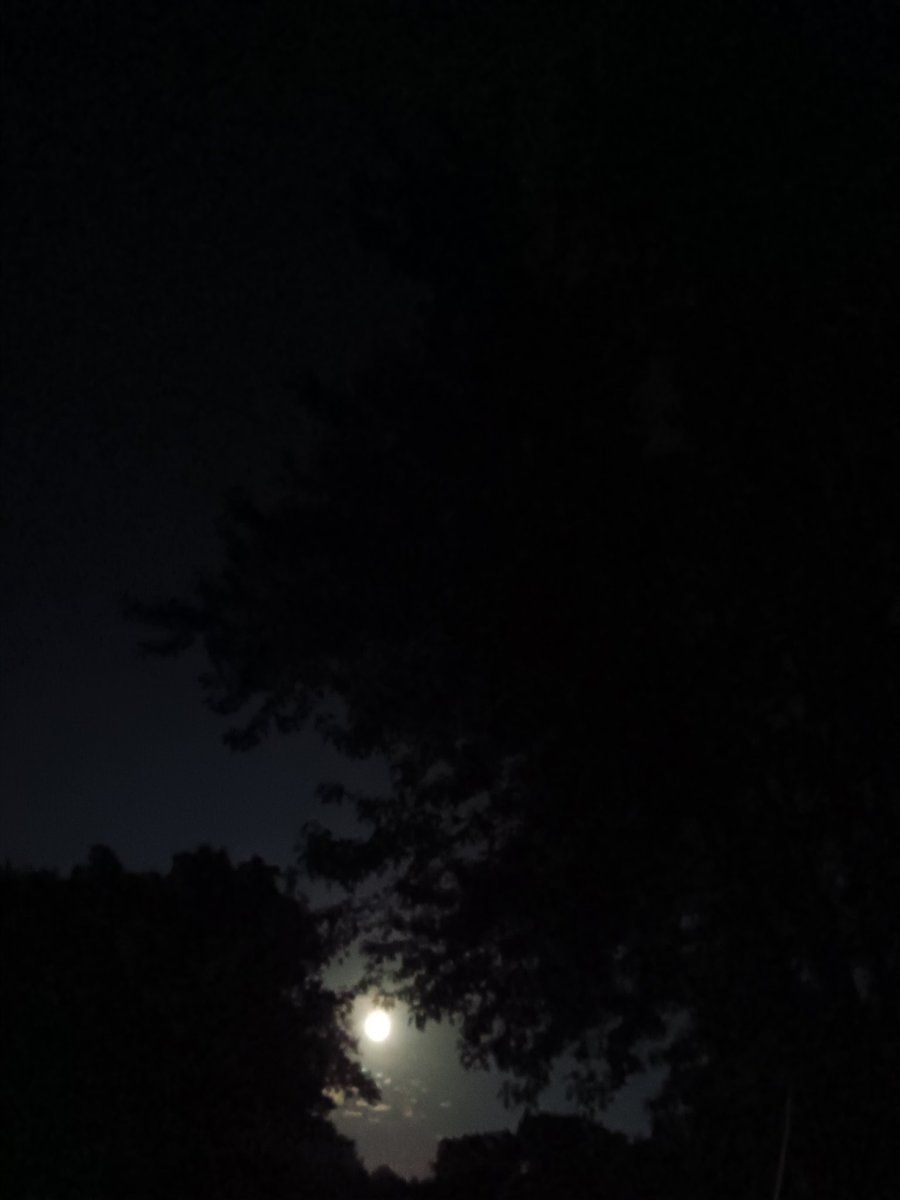 DemonSemen46661's tweet photo. #FullMoon
#AntiChrist
#SixSixSix
#TheRapture
#EndofDays
#RejectingRepentance https://t.co/nVZXoCs0xi