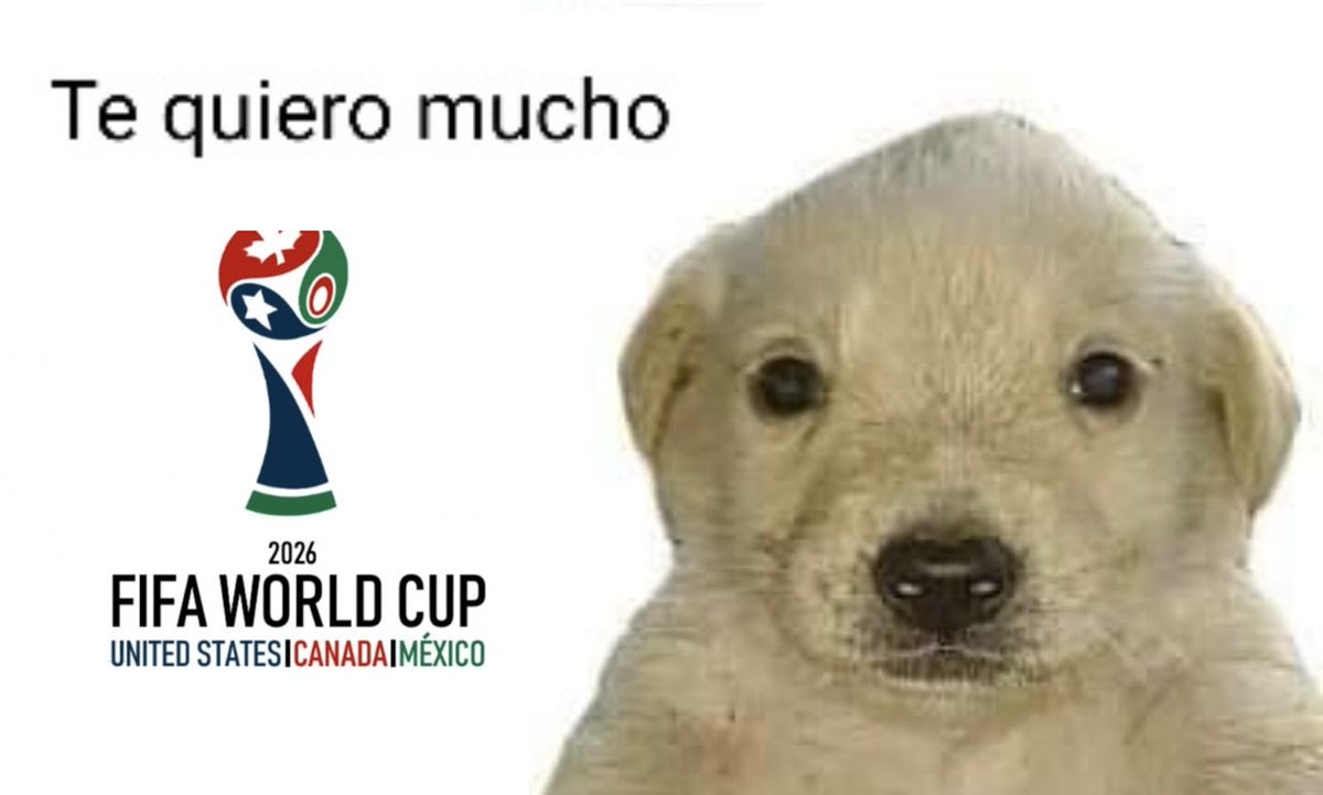 JaviSabeCosas's tweet photo. https://t.co/wWw403ntkS